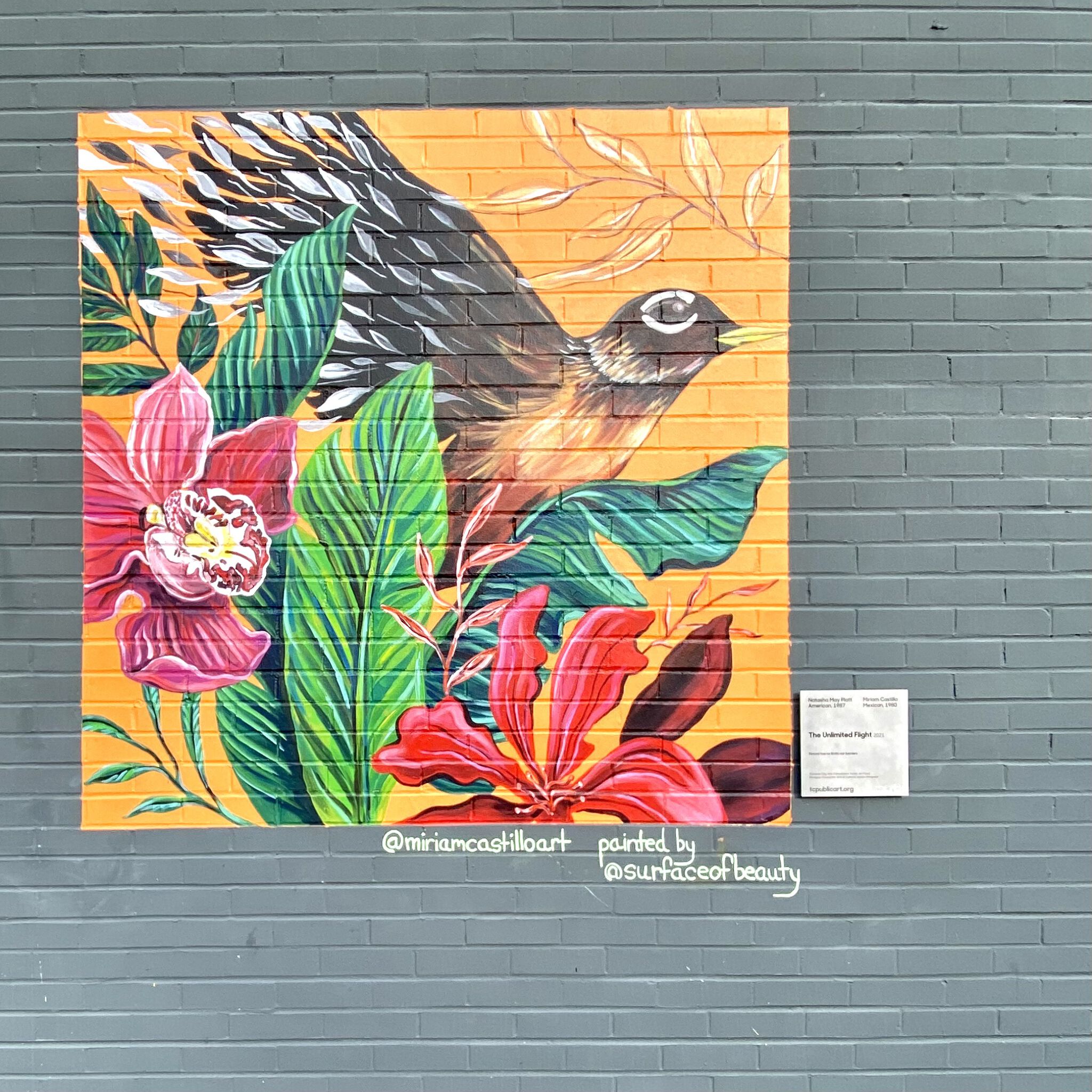Miriam Castillo, Natasha May Platt&mdash;Unlimited Flight