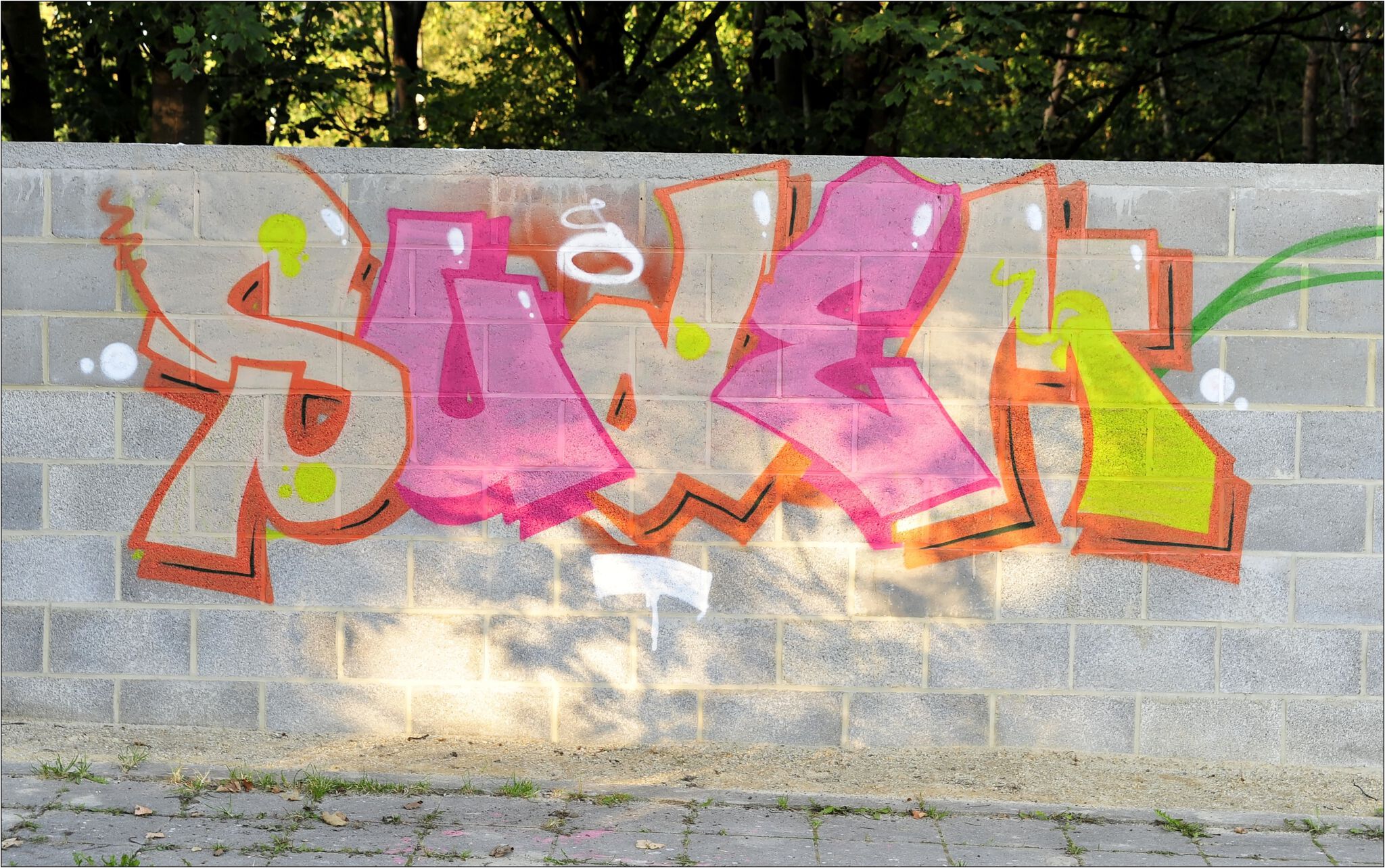 Noname, jnc, Ecto, Acide4000, nilon, nico hayer, Soke - la cabane, etc...., PsoMan&mdash;Skate Parc de Cointe