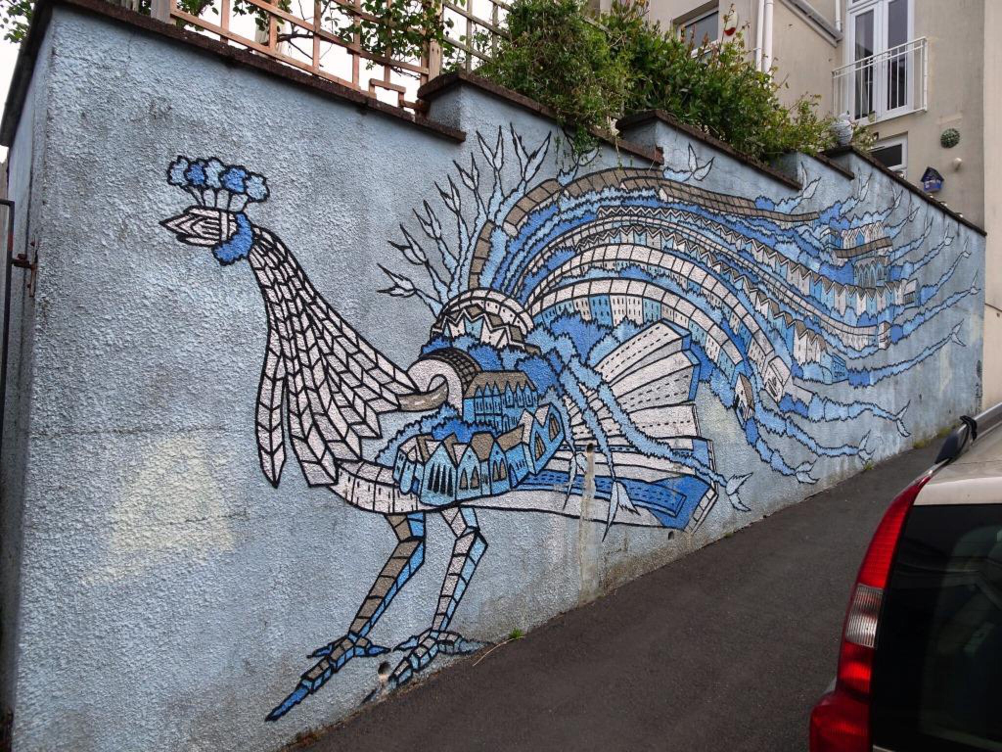 Andy Council&mdash;Peacock