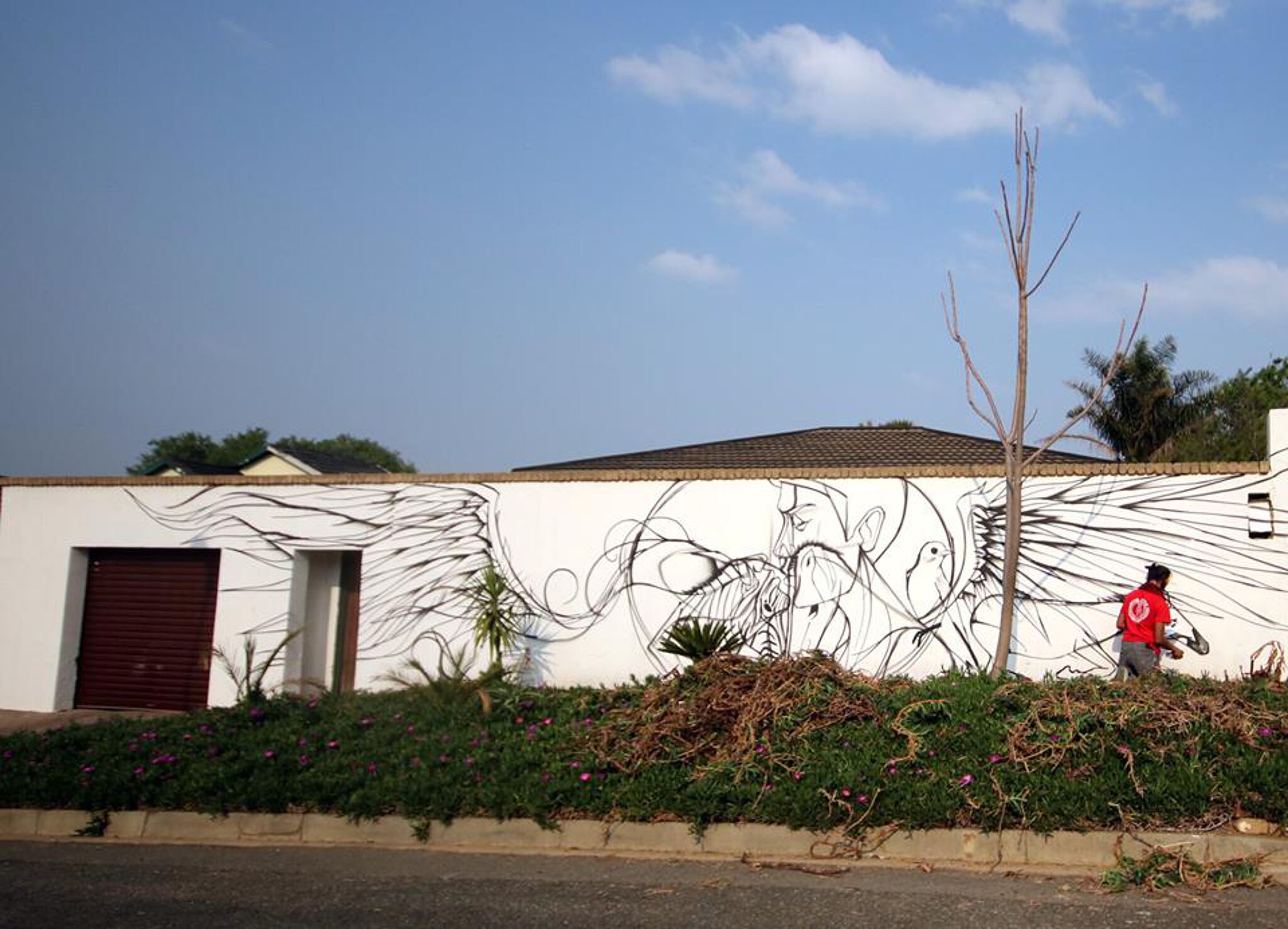 Prefix66&mdash;Zebras - Westdene Graffiti Project