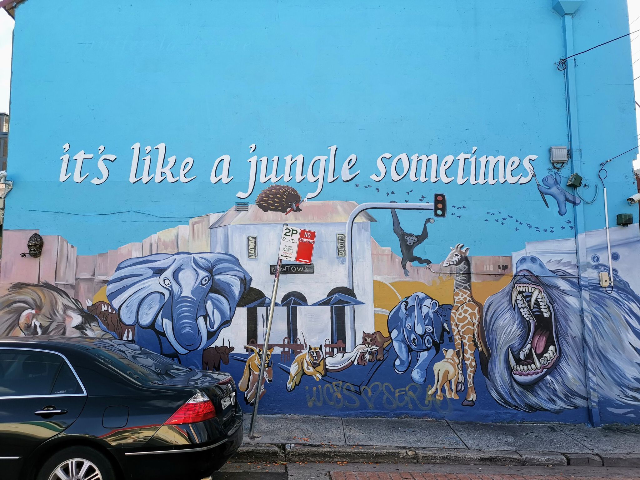 Colin Bebe&mdash;It's Like a Jungle Sometimes