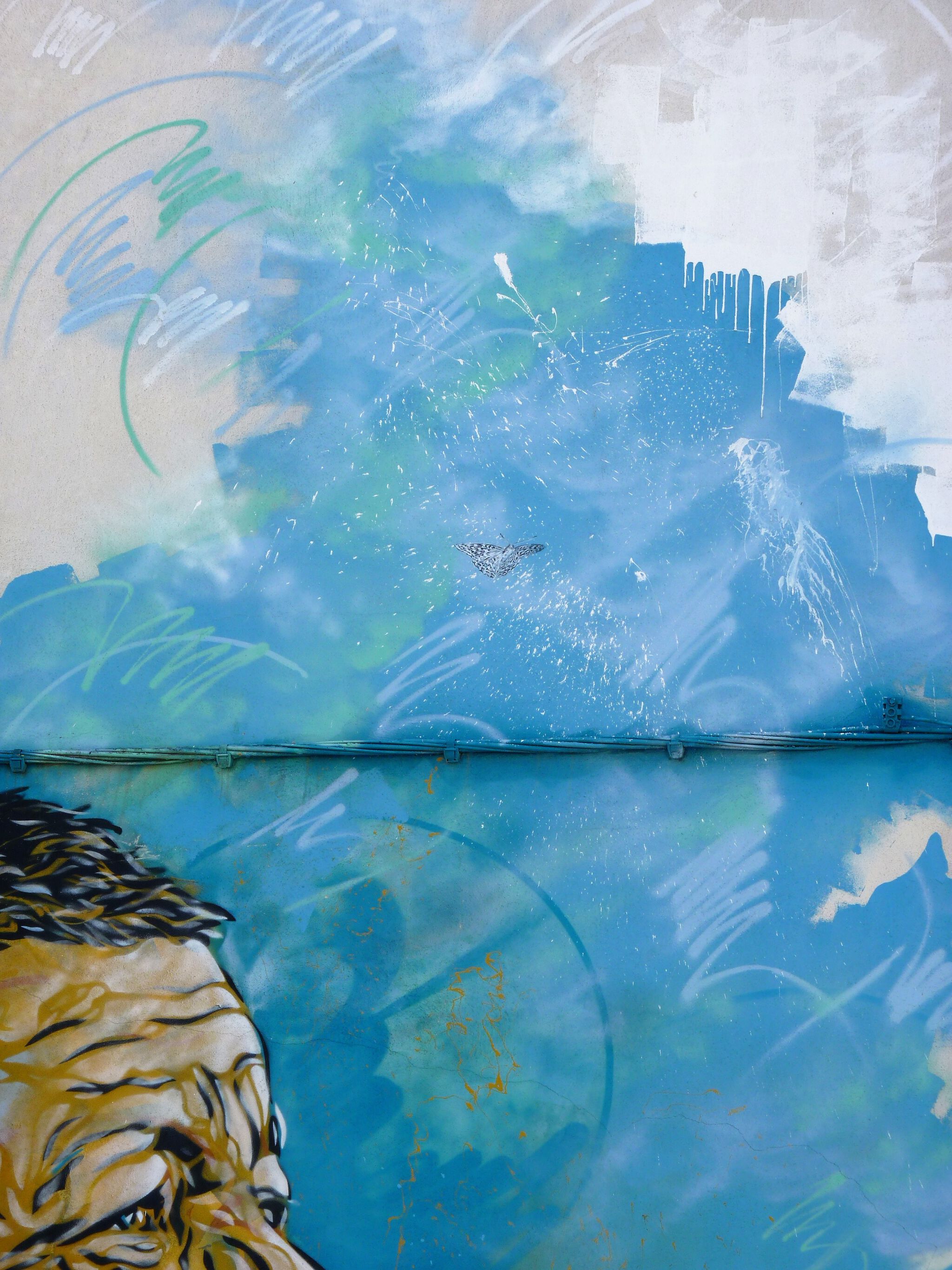 C215&mdash;C215 in Sète