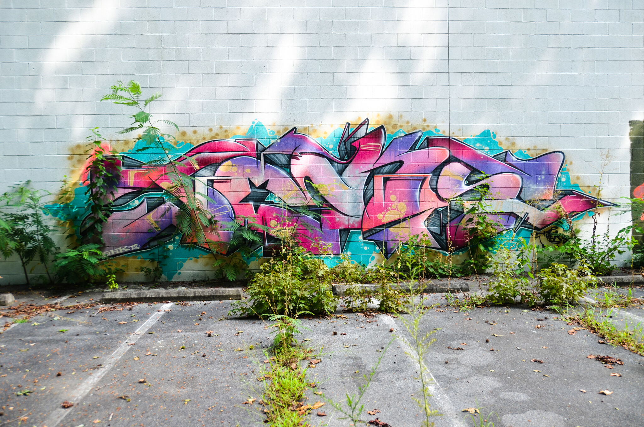 Unknown - Greensboro&mdash;Untitled