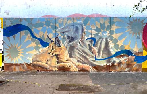 Hoda et le Caracal