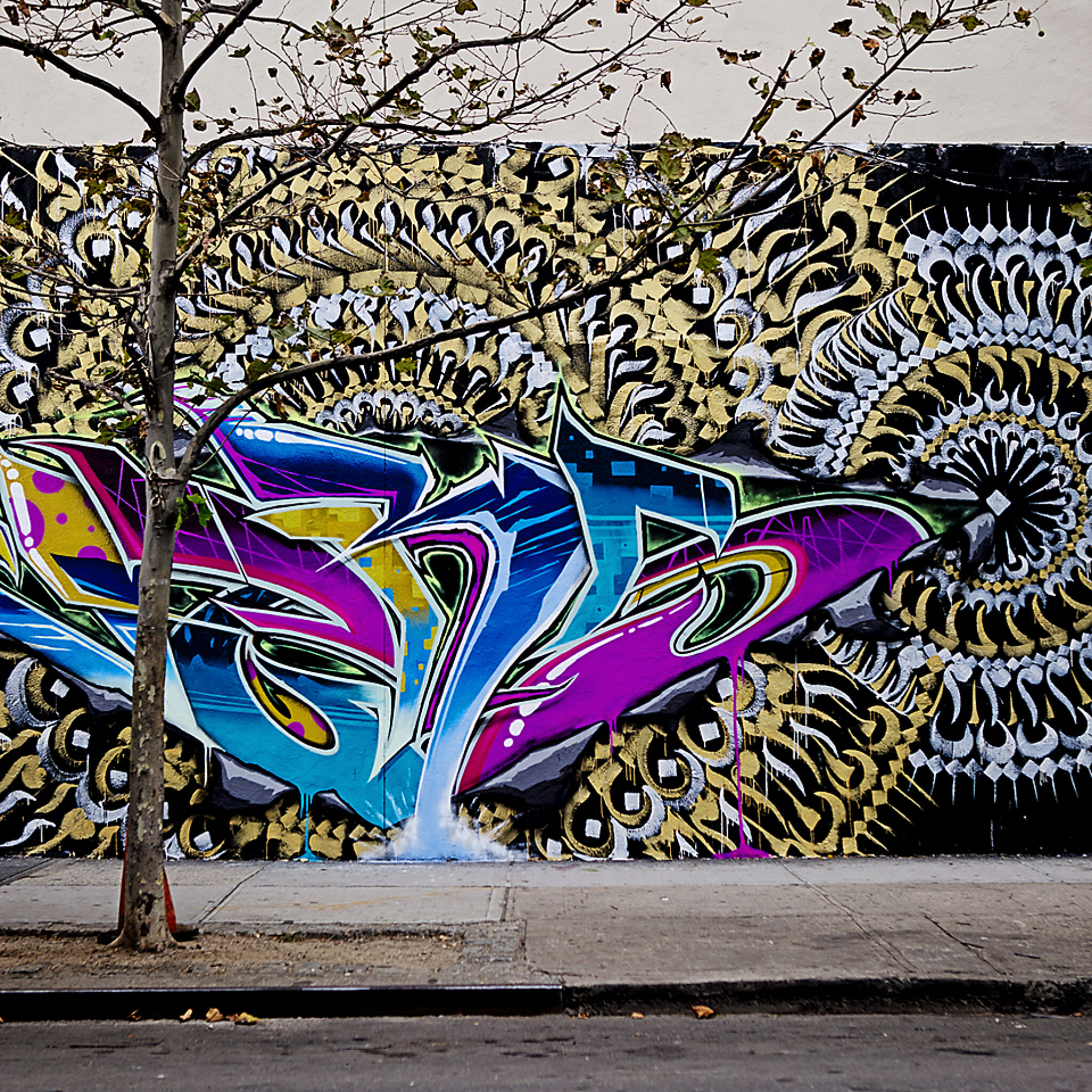 Rocko's Arts, VERS 718&mdash;Untitled