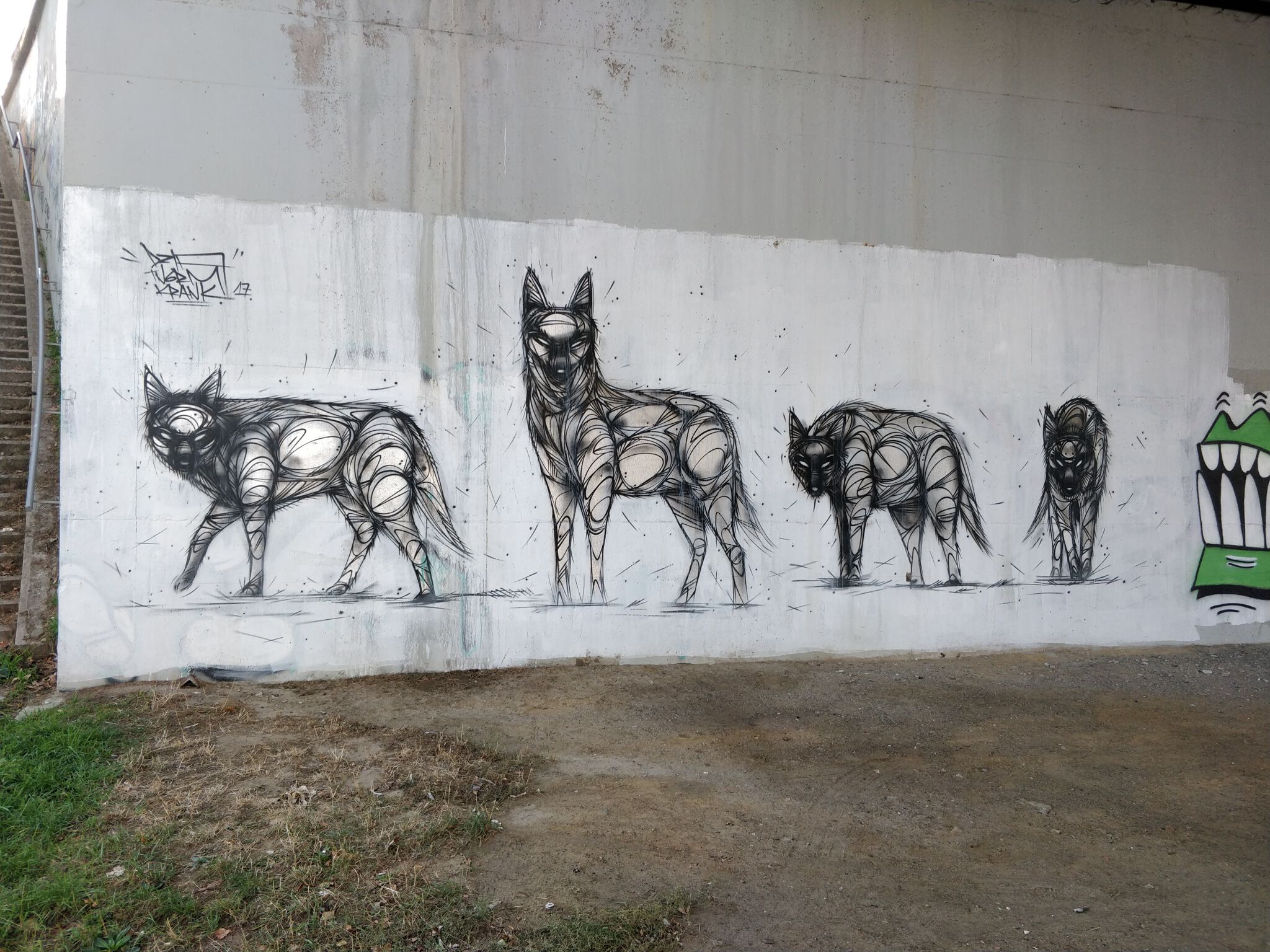 Dzia&mdash;The Wolfpack
