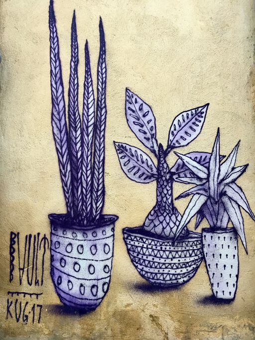 Plants-Rue de Tunis