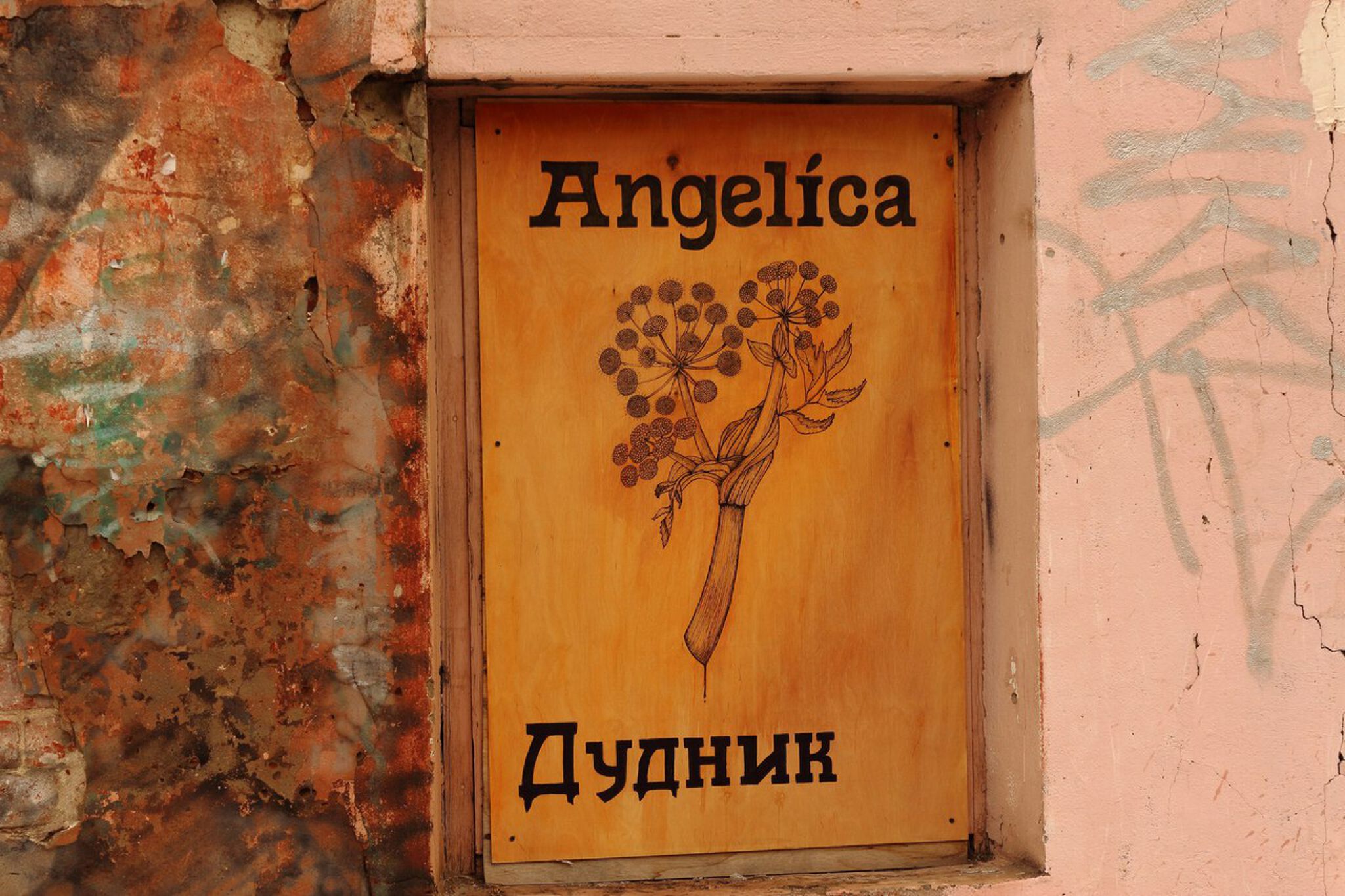 LENA LISITSA&mdash;COMMON CITIZENS