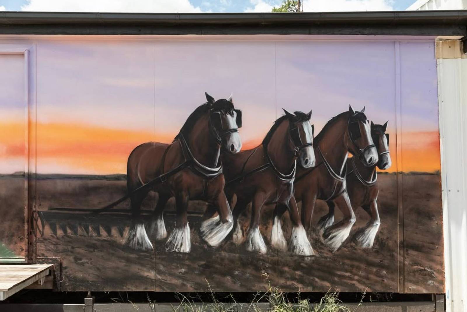 Patrycja Hannagan&mdash;Croppa Creek Store