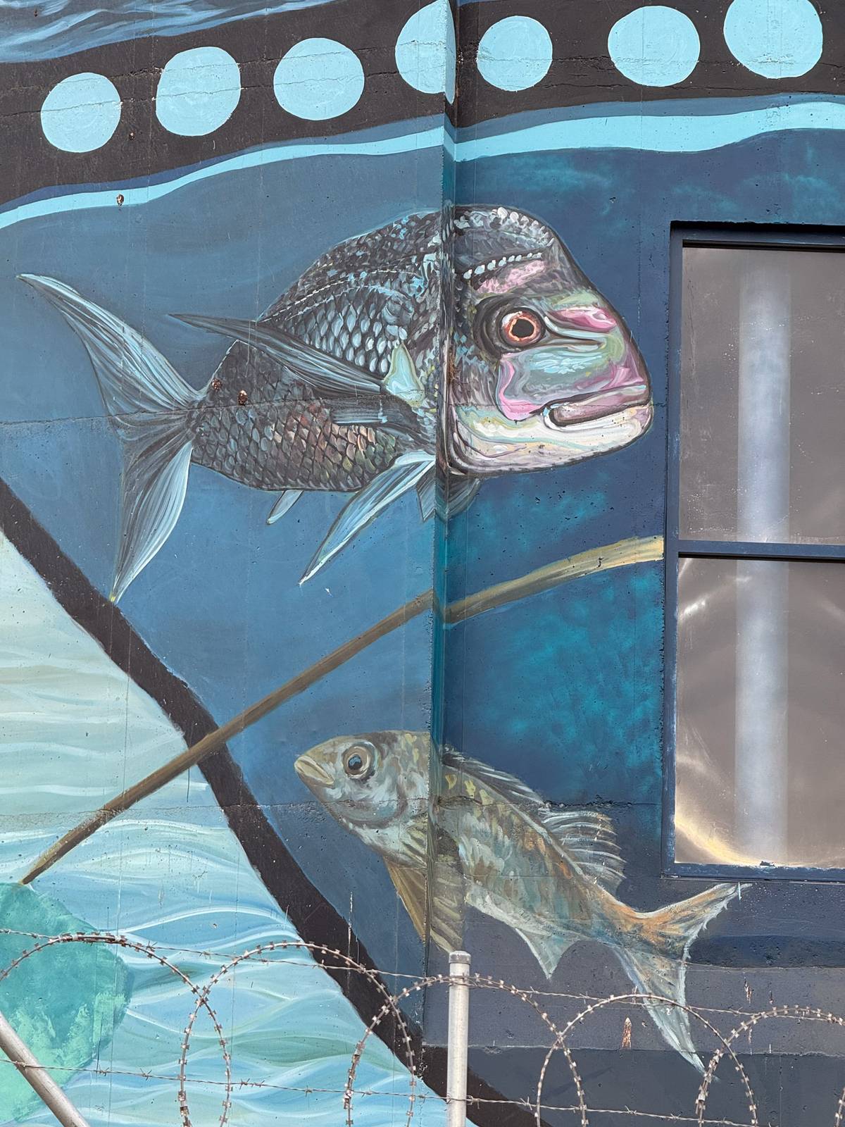 Vans The Omega, Refuz, Jasmine Crisp&mdash;Port Vincent Water Tower