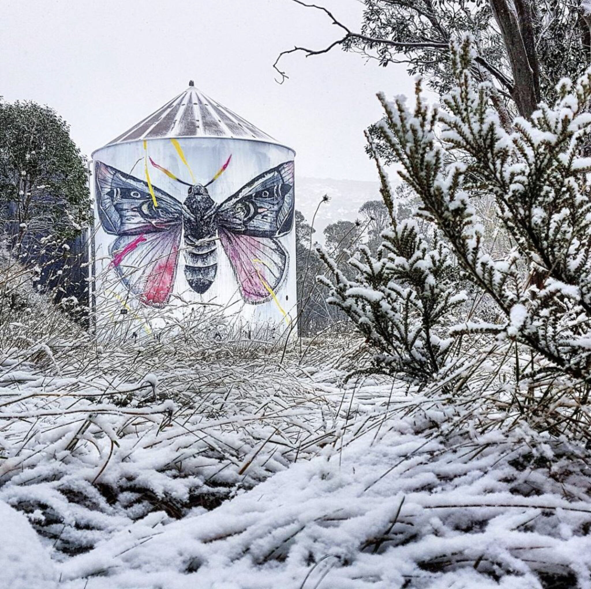 Twoone&mdash;Falls Creek Water Tank Art
