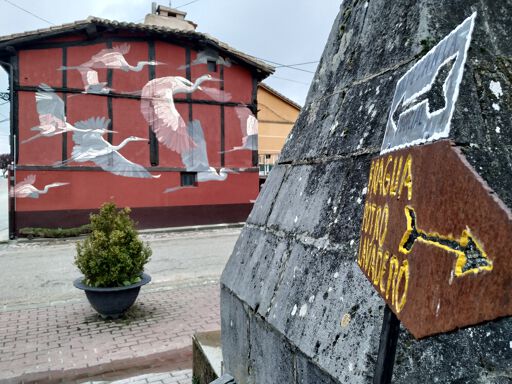 De paso y pausa