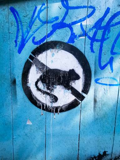 No Rats