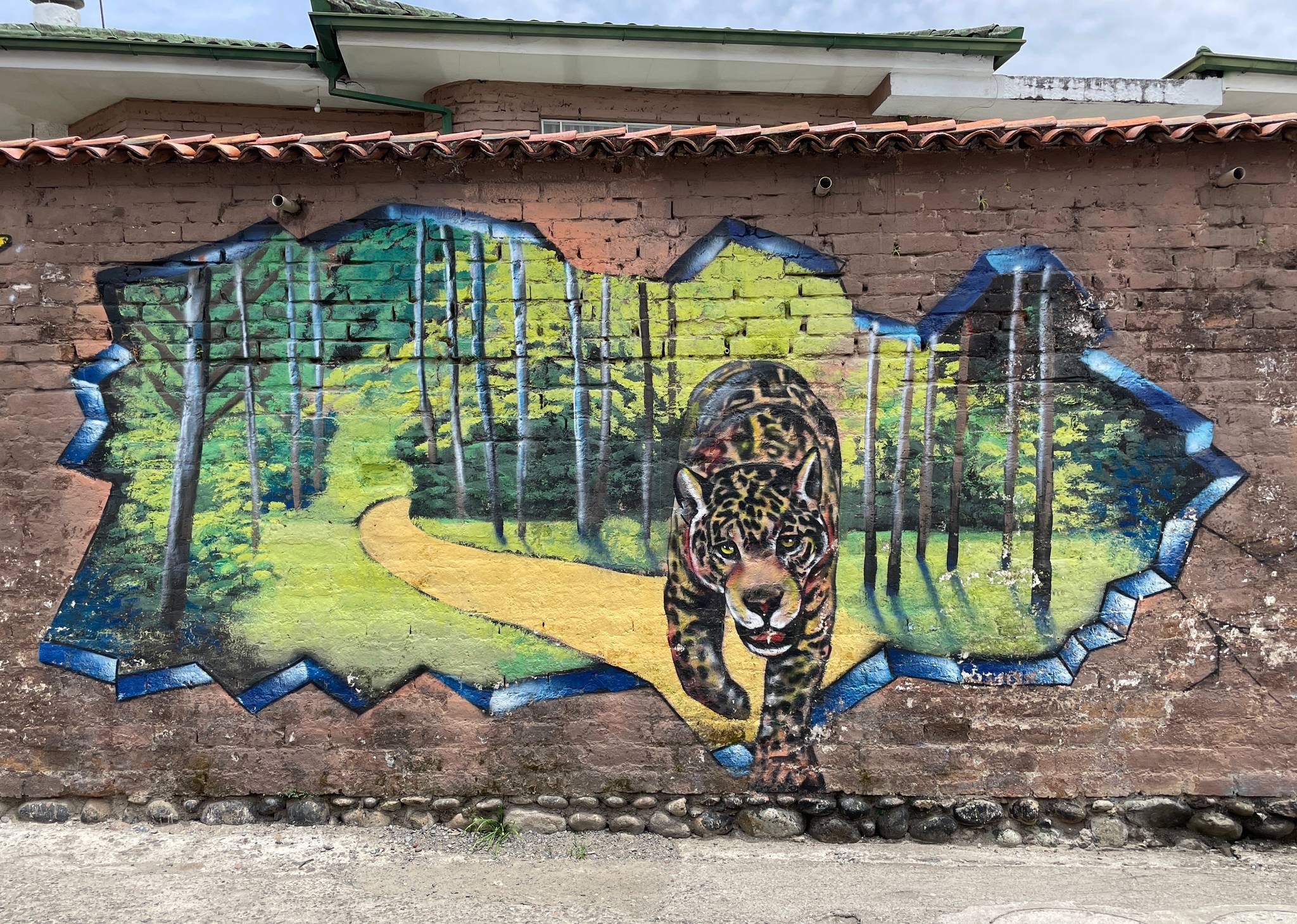 Antoine&mdash;Zoo Style - 2022