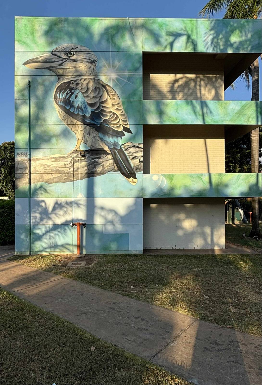 David Collins&mdash;Blue-winged Kookaburra