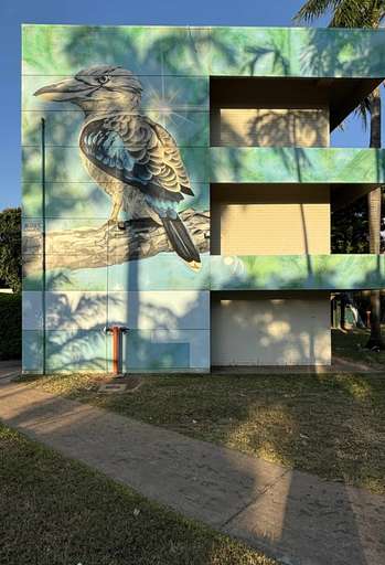 Blue-winged Kookaburra