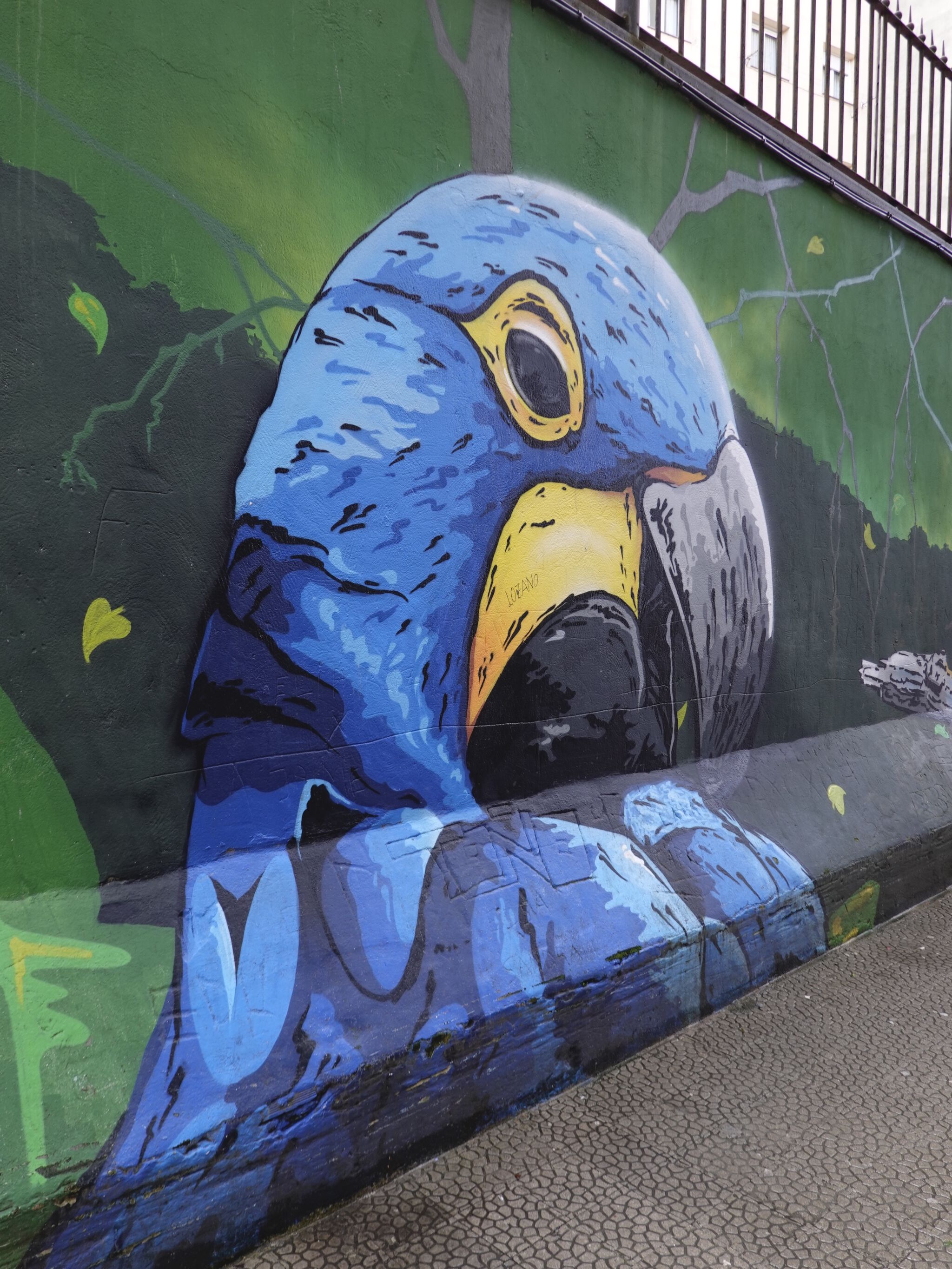 DEN XL ( Eva Mena), Jank&mdash;Papagayos and Parrots