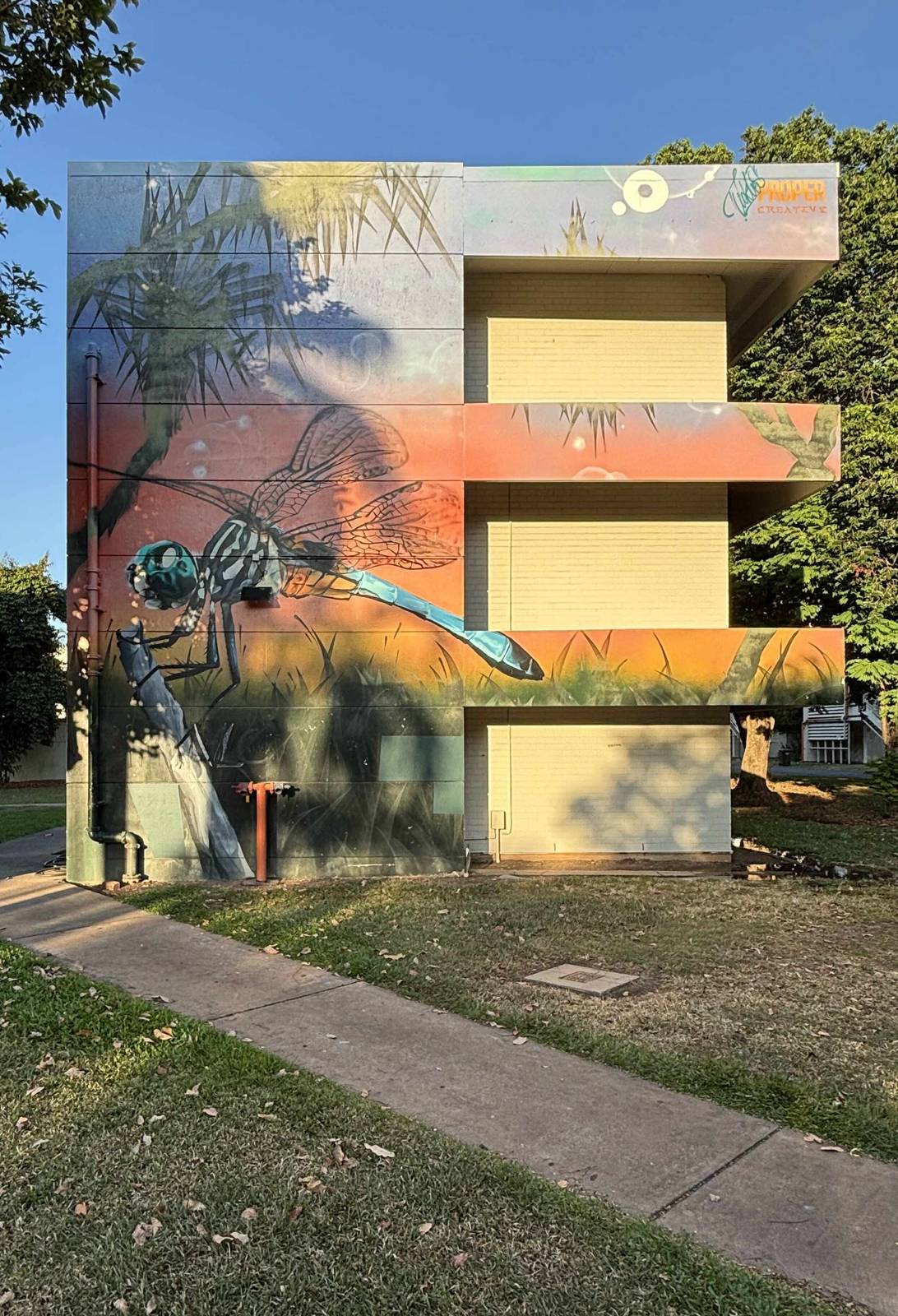 David Collins&mdash;Dragonfly
