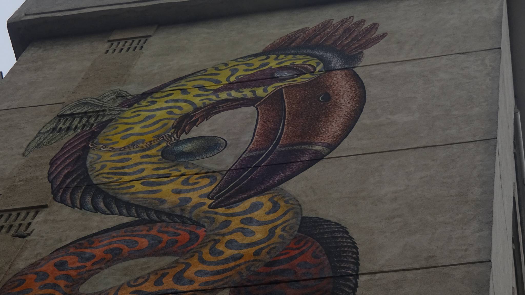 Ocu, Dima Kashtalyan (Belarus)&mdash;The Toucan Snake