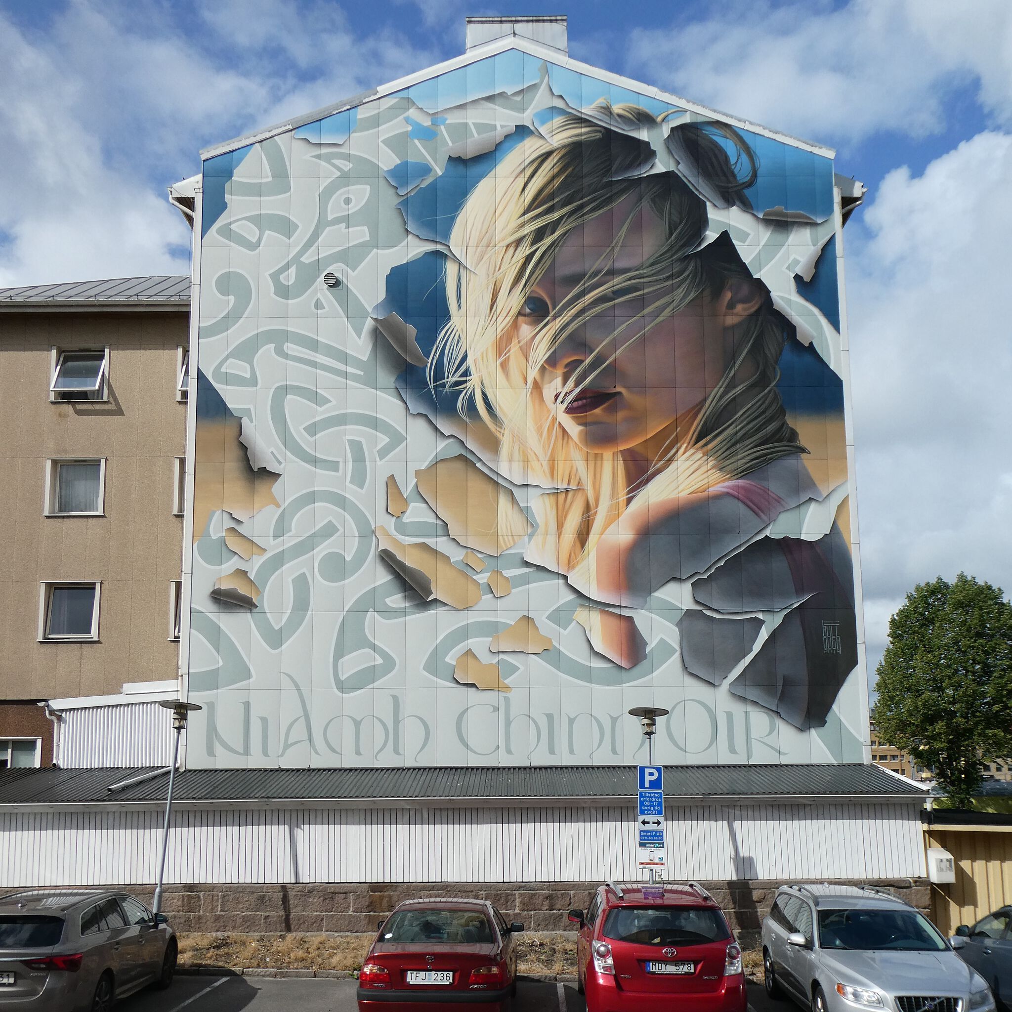 James Bullough&mdash;Niamh Chinn Óir