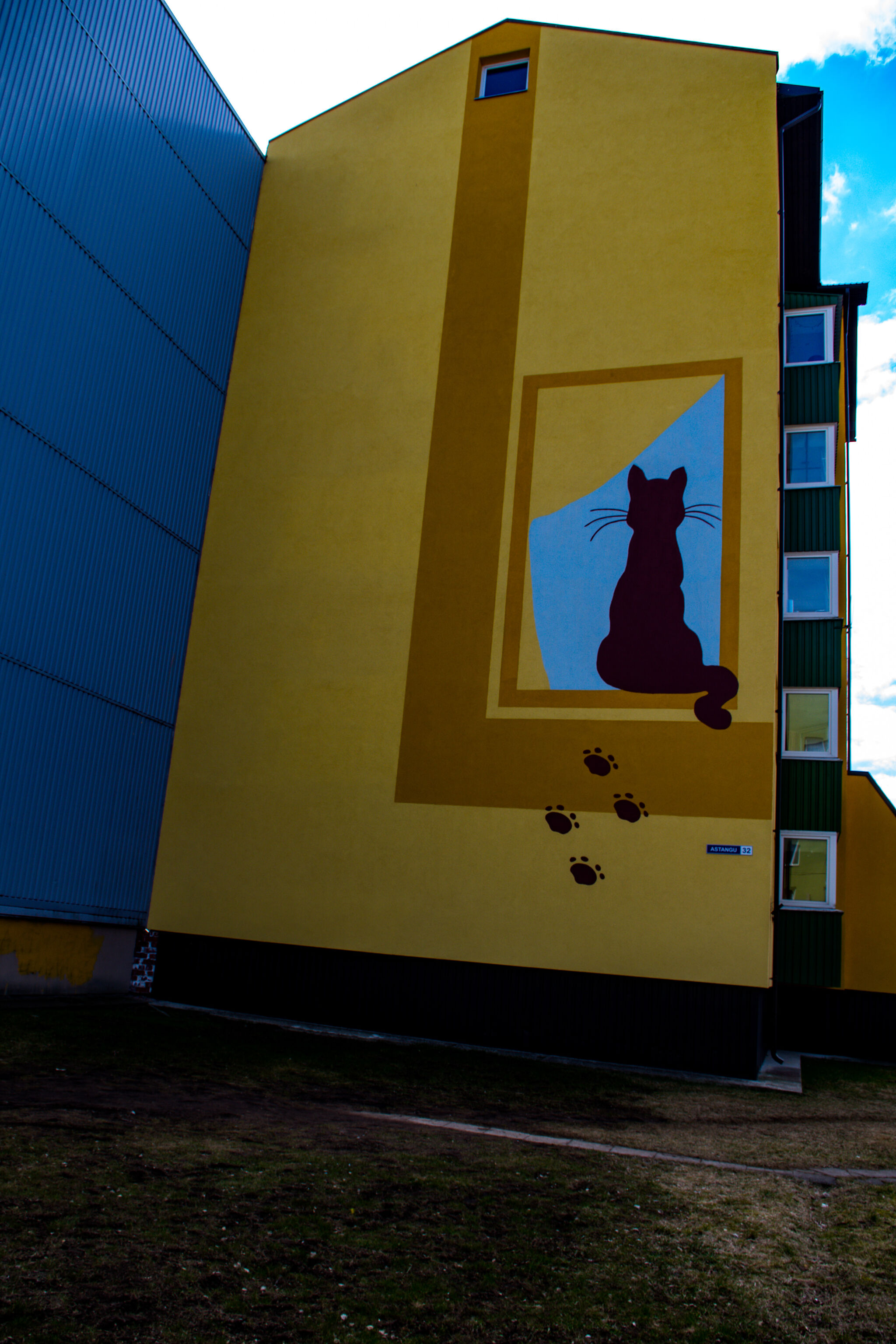 Unknown - Tallinn&mdash;House cat