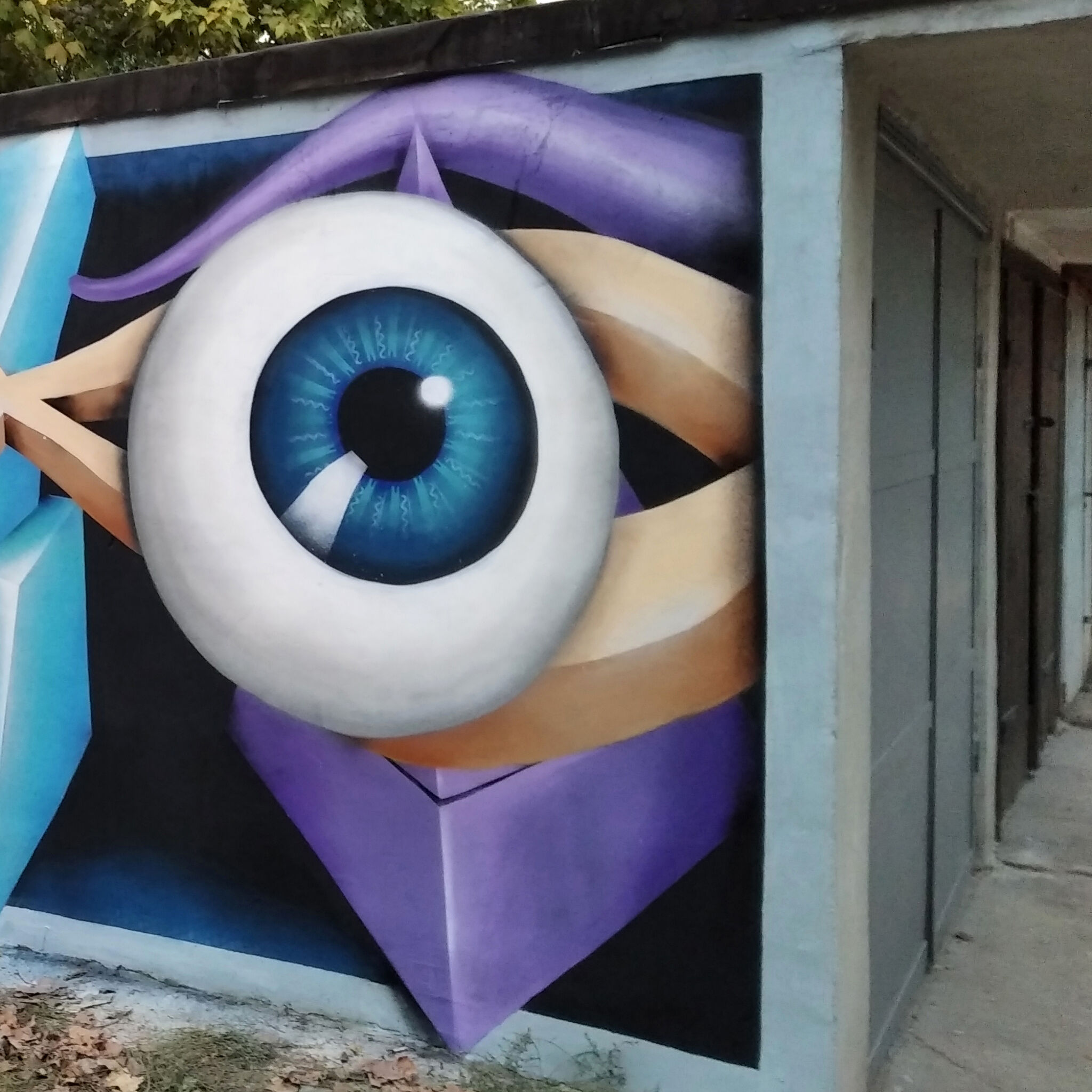 Shpira&mdash;Surrealist anamorphic face mural