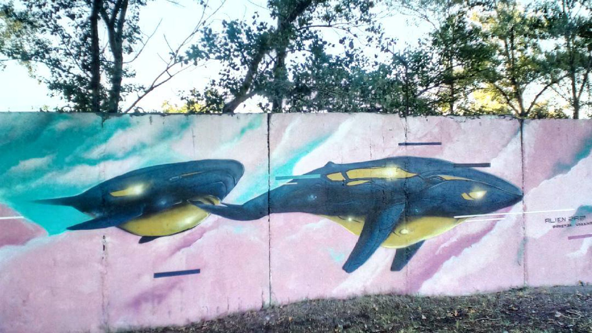 Unknown - Dnipro&mdash;DMF7