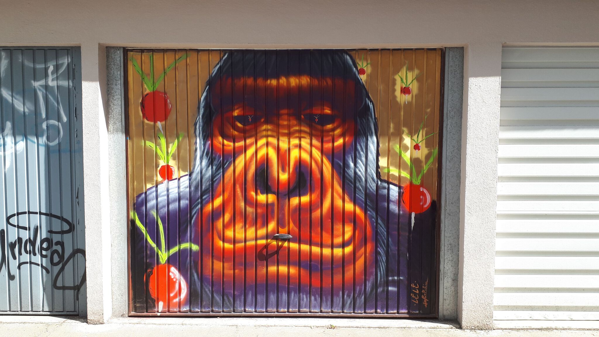 Dabanadadou&mdash;Le Singe