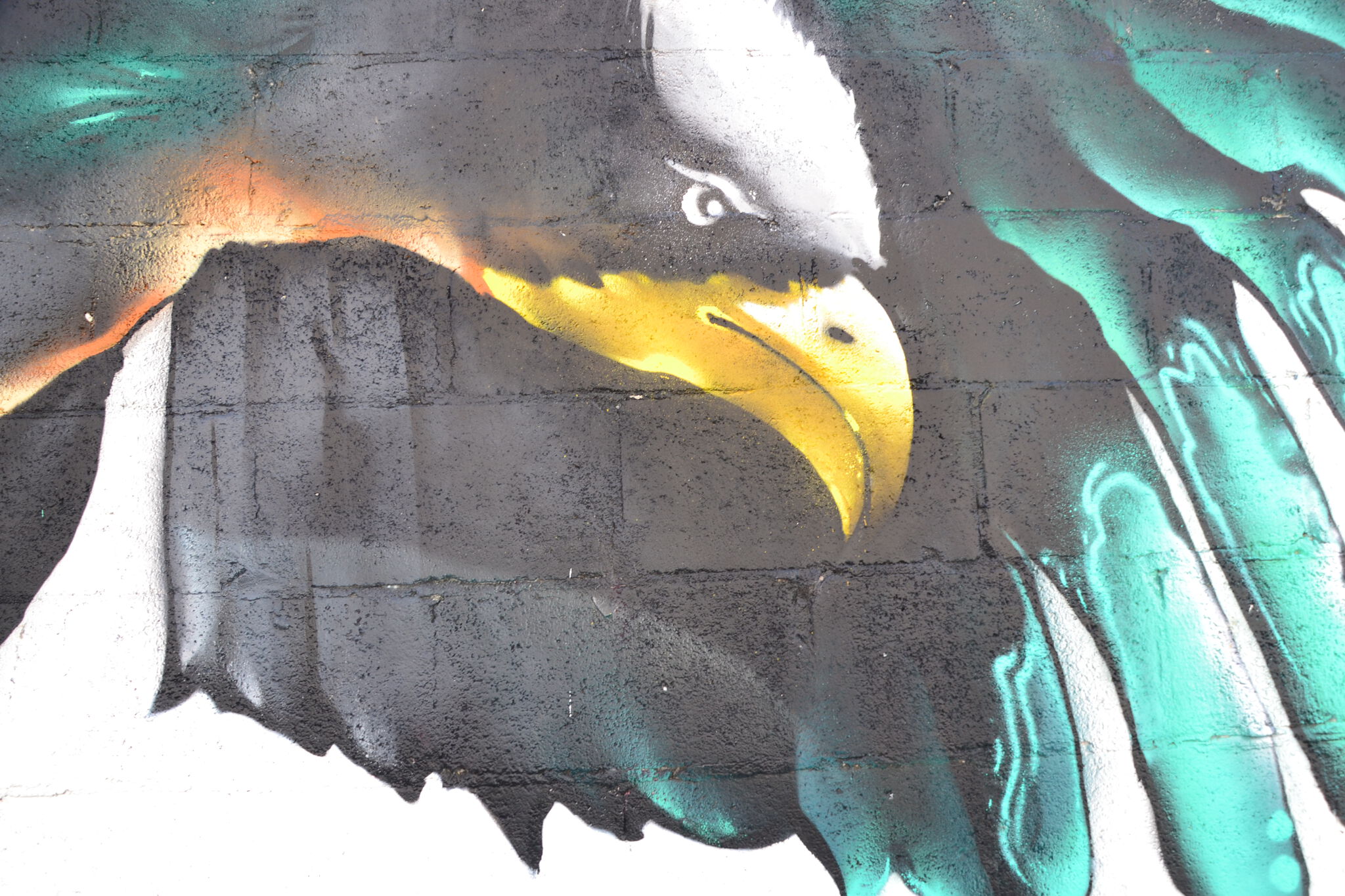 Sonk&mdash;Aguila