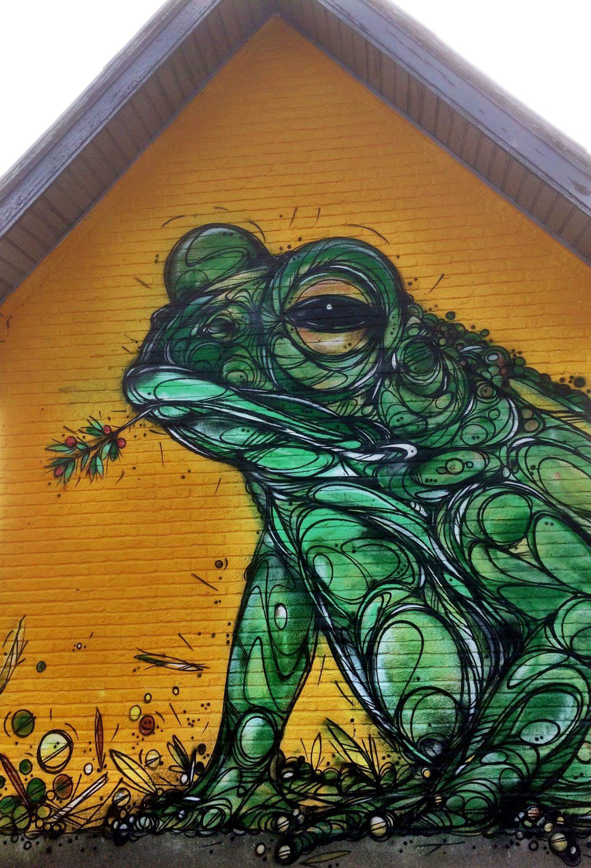 Dzia&mdash;Toadhouse