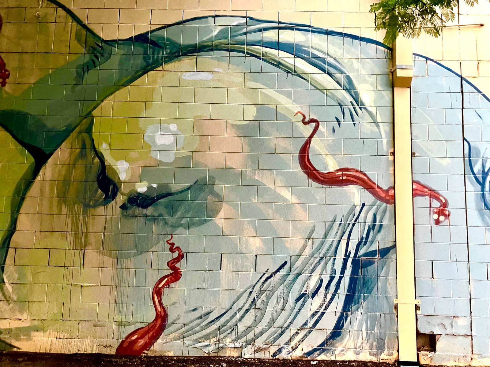 Unknown - Adelaide&mdash;undefined