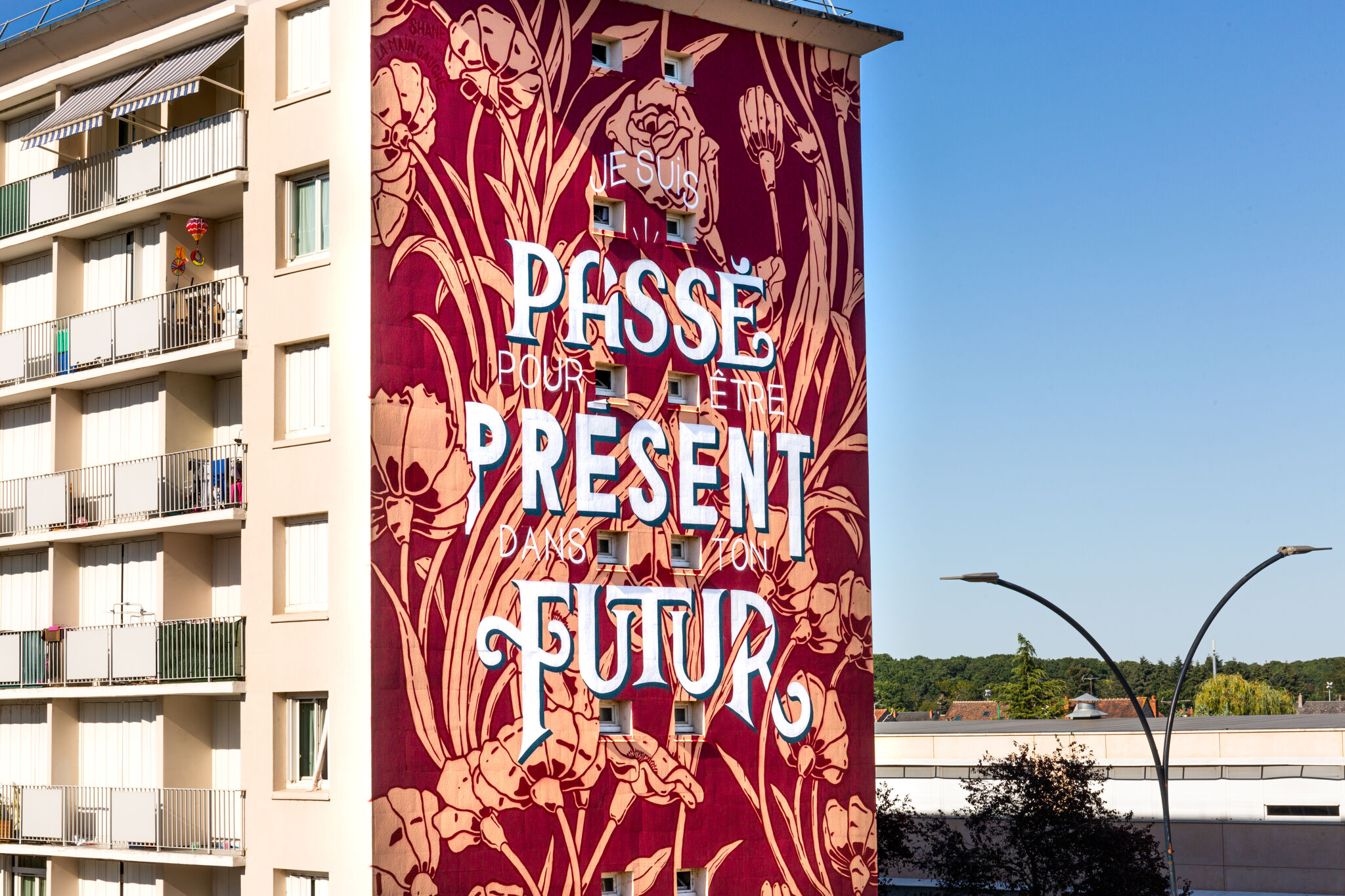LA MAIN GAUCHE, Shane&mdash;JE SUIS PASSÉ POUR ETRE PRESENT DANS TON FUTUR
