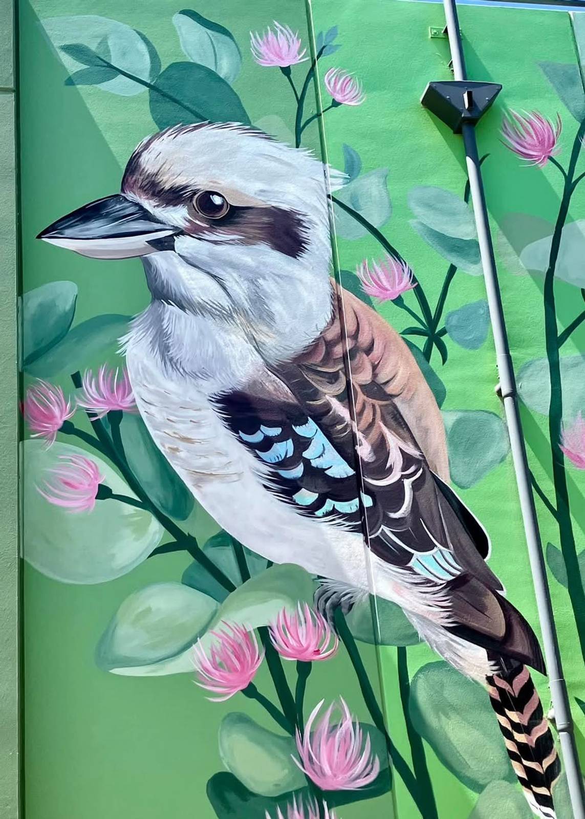 Jack Fran&mdash;Bird Park