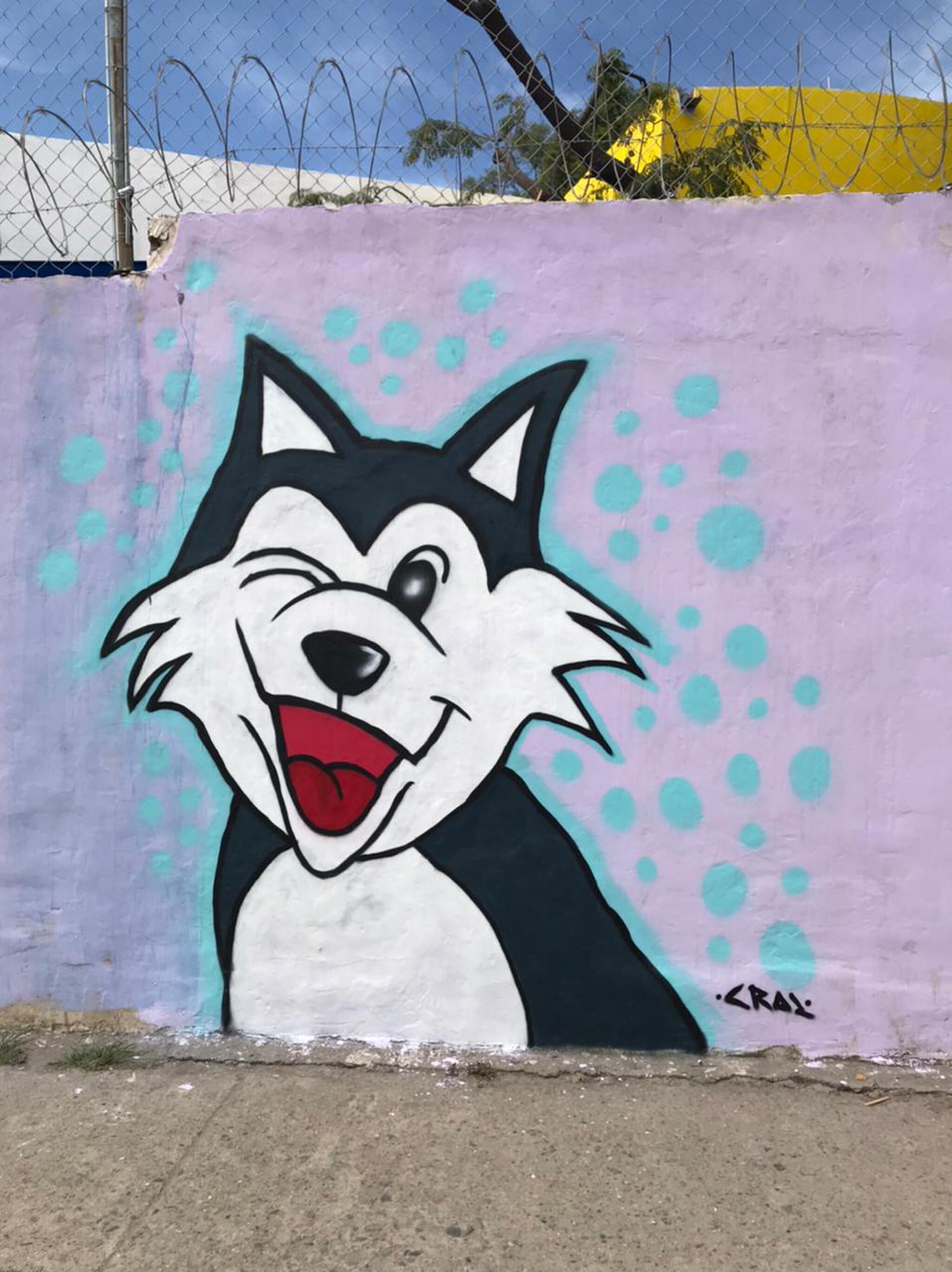 Itzel, dexo, ante, Puer, onza, DANTE, gave, Push, Crook&mdash;Mascotas