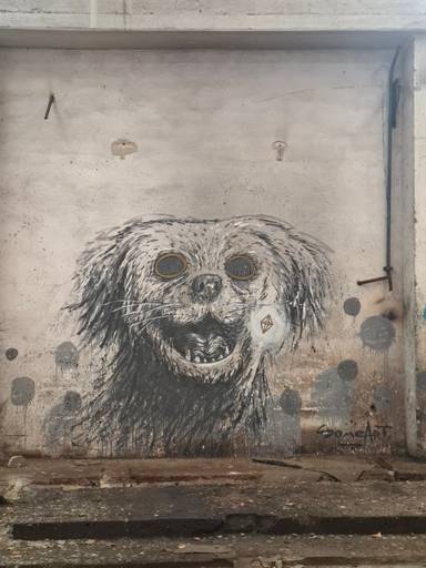 Dog