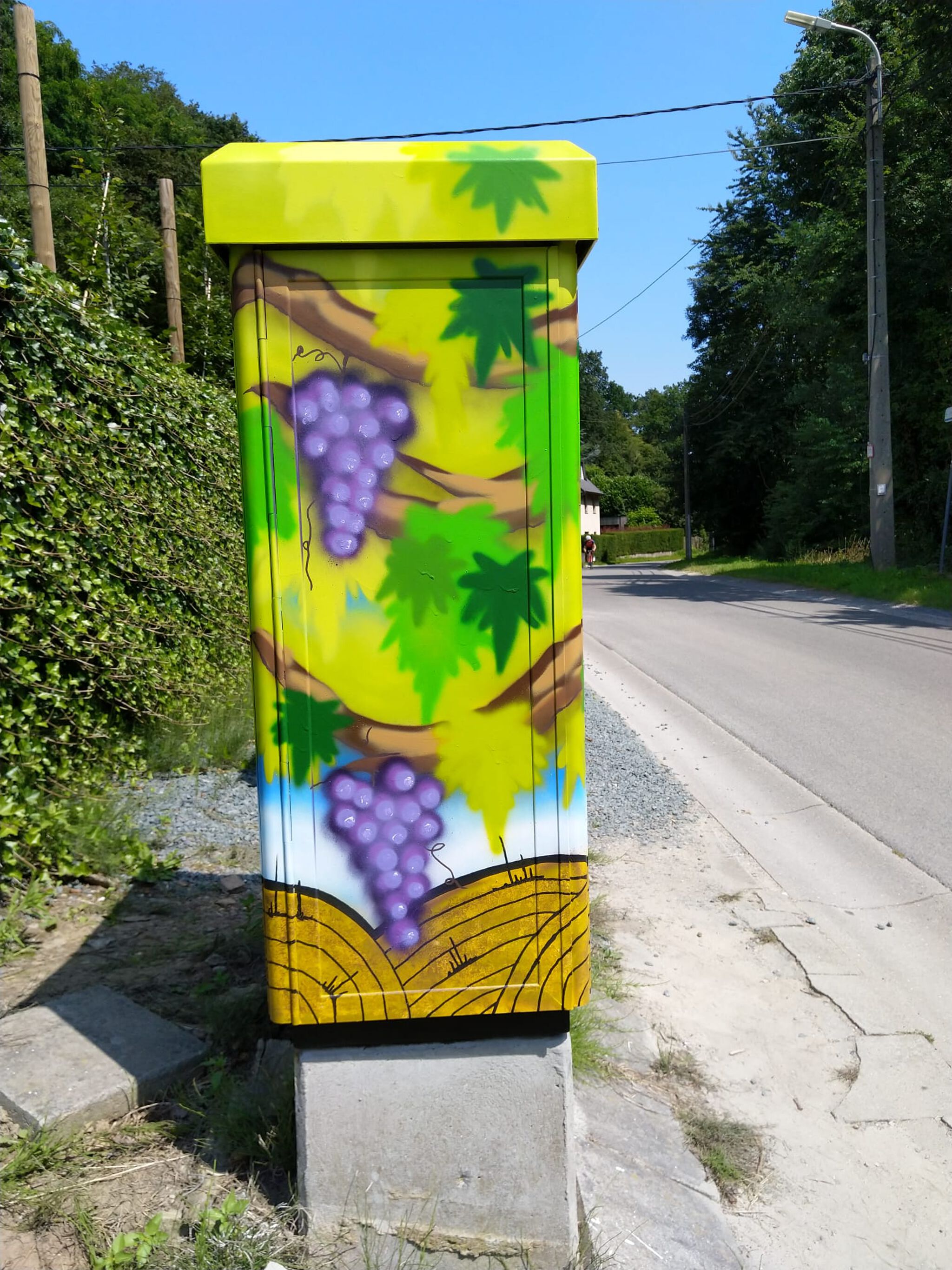 nupstr&mdash;Tour Elentrik - Druivenlandschap