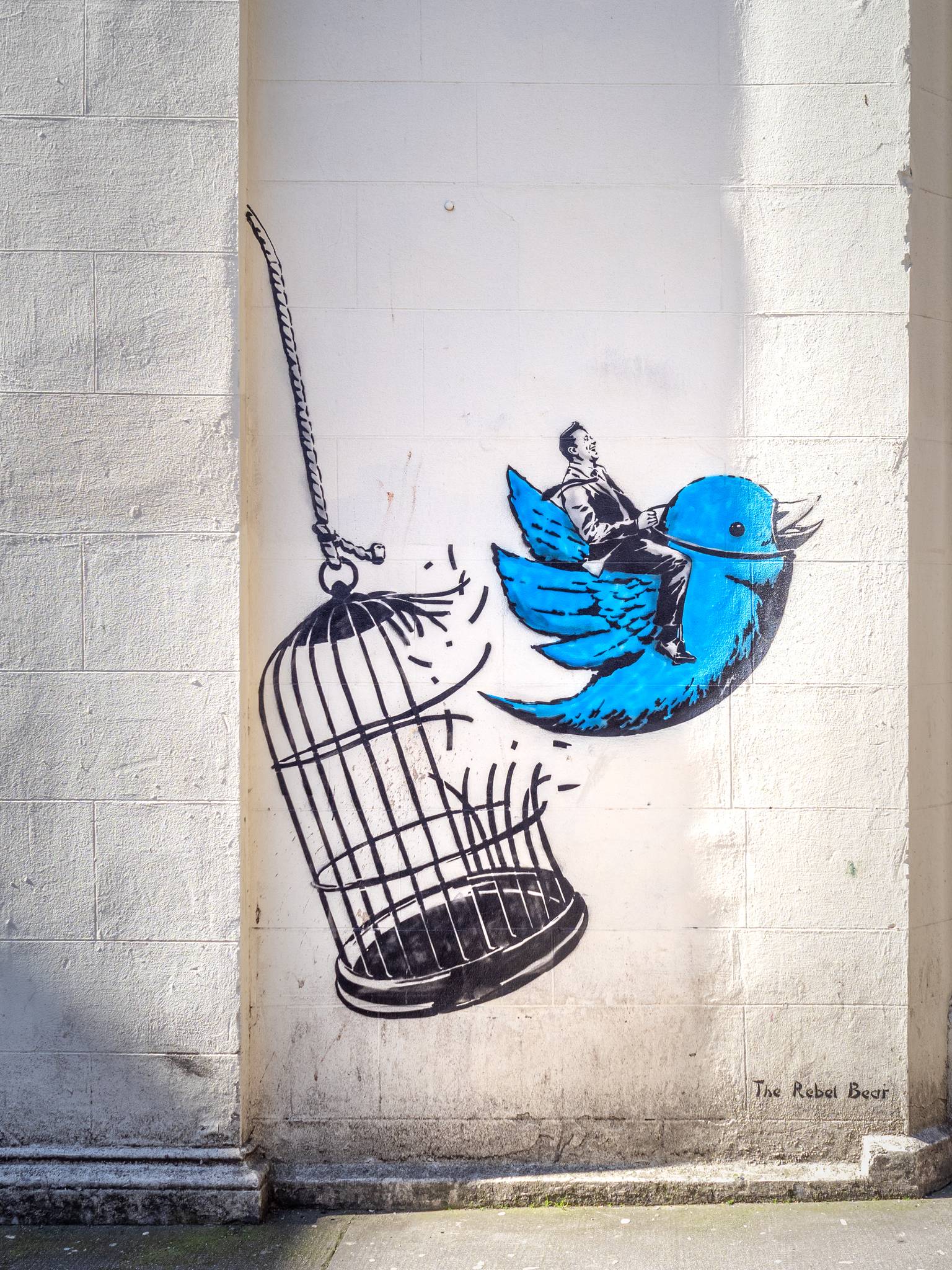 The Rebel Bear &mdash;Twitter Takeover