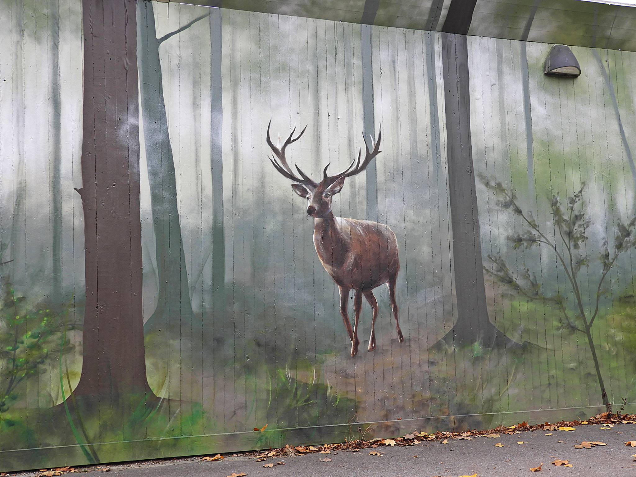Sagie&mdash;Skogen 2