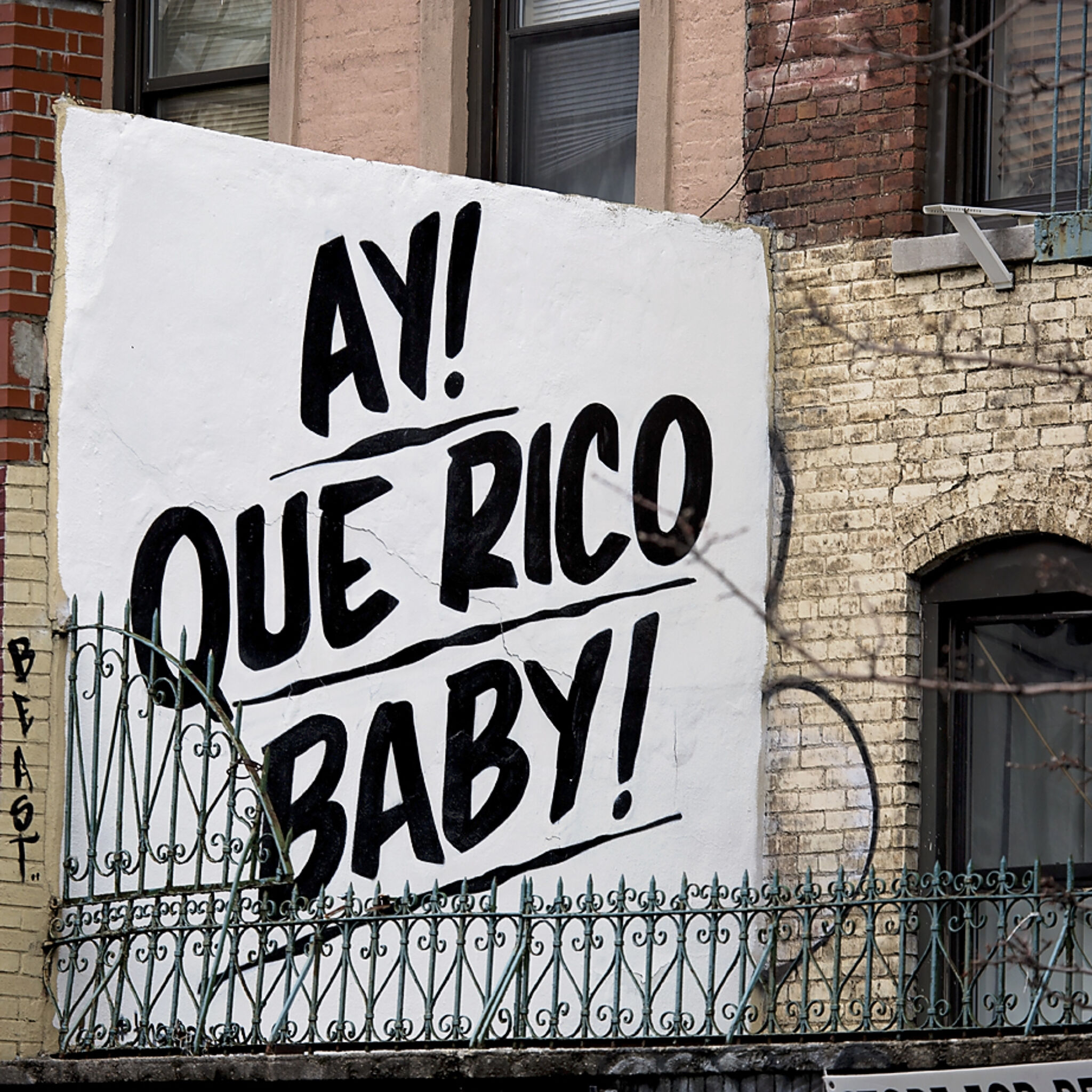 Baron von Fancy&mdash;Ay! Que Rico Baby!