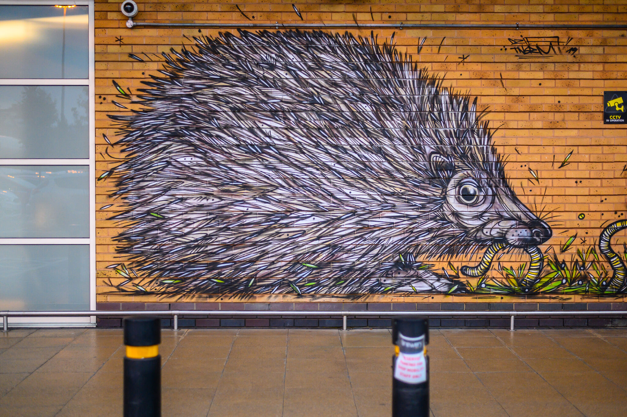 Dzia&mdash;Hedgehog - Take a Walk on the Wild Side.