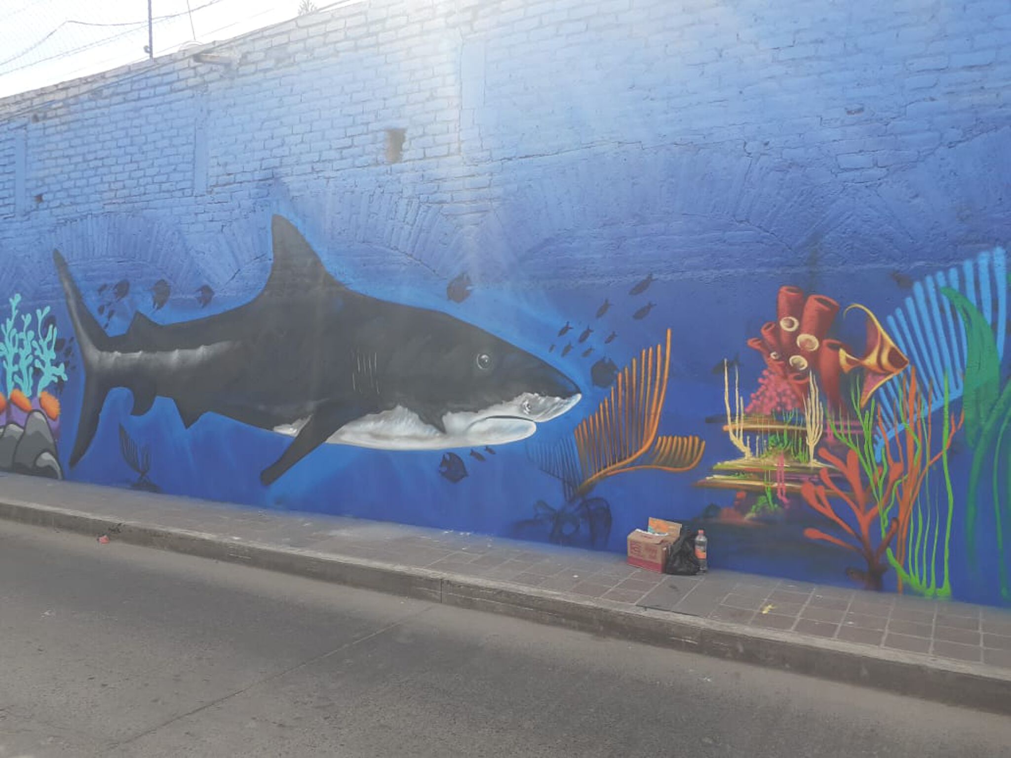 Jhard, Crook, Moy, Moustruo, Push, Ante, Brote, Asme&mdash;Sea Life