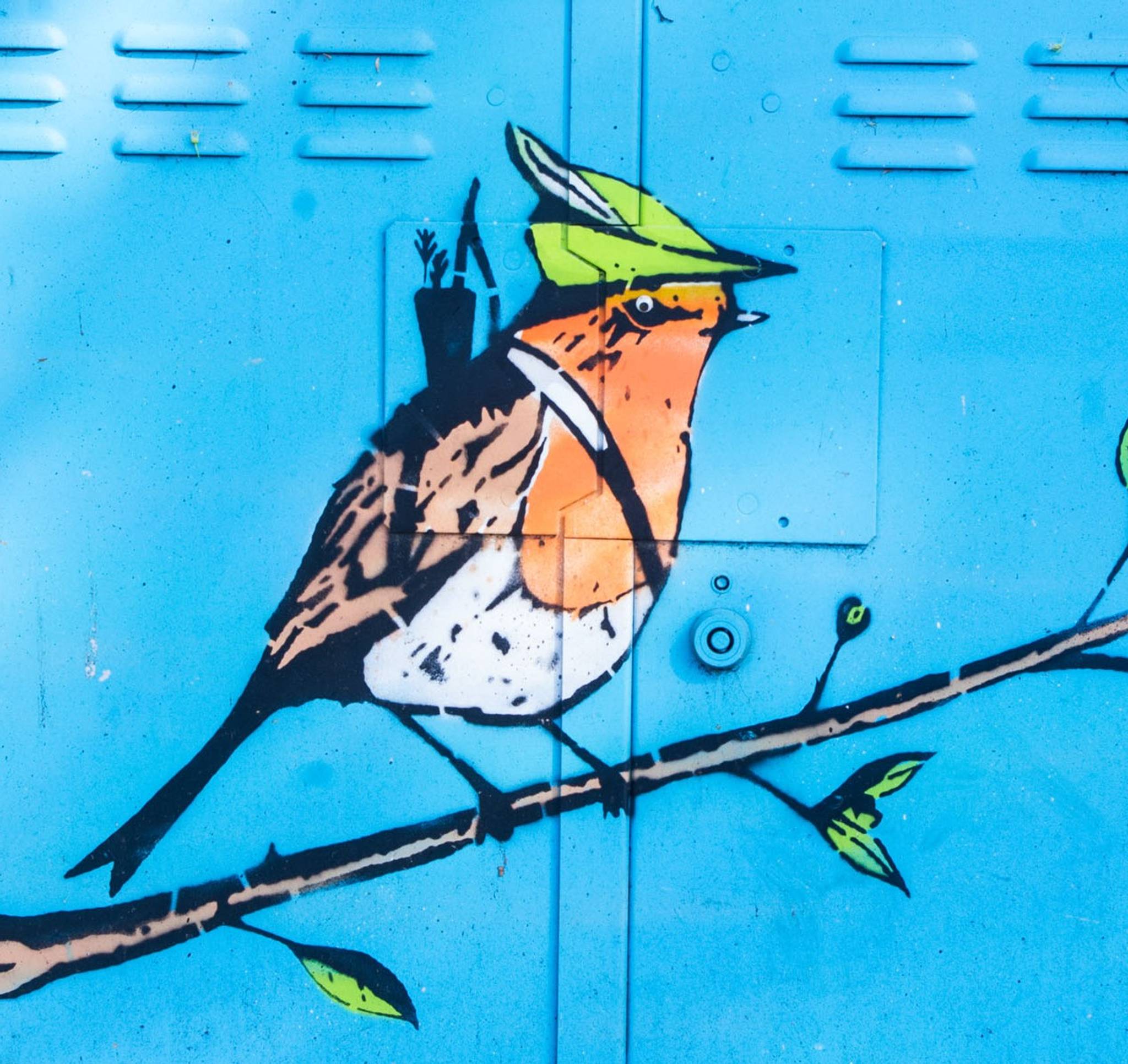 Cut it Out&mdash;Robin Robin