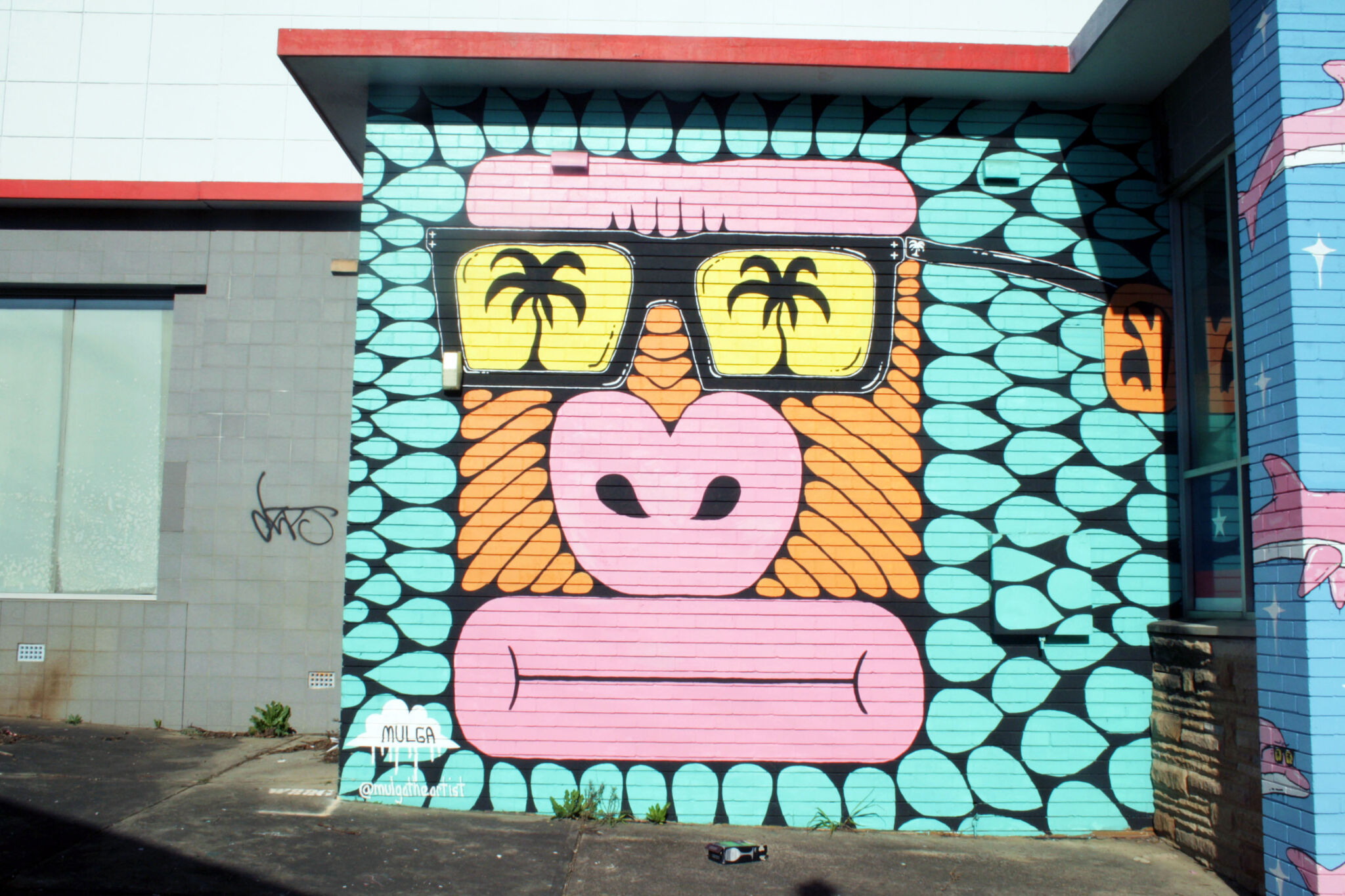 Mulga&mdash;King Kong Carl of Caringbah and the Dolphins