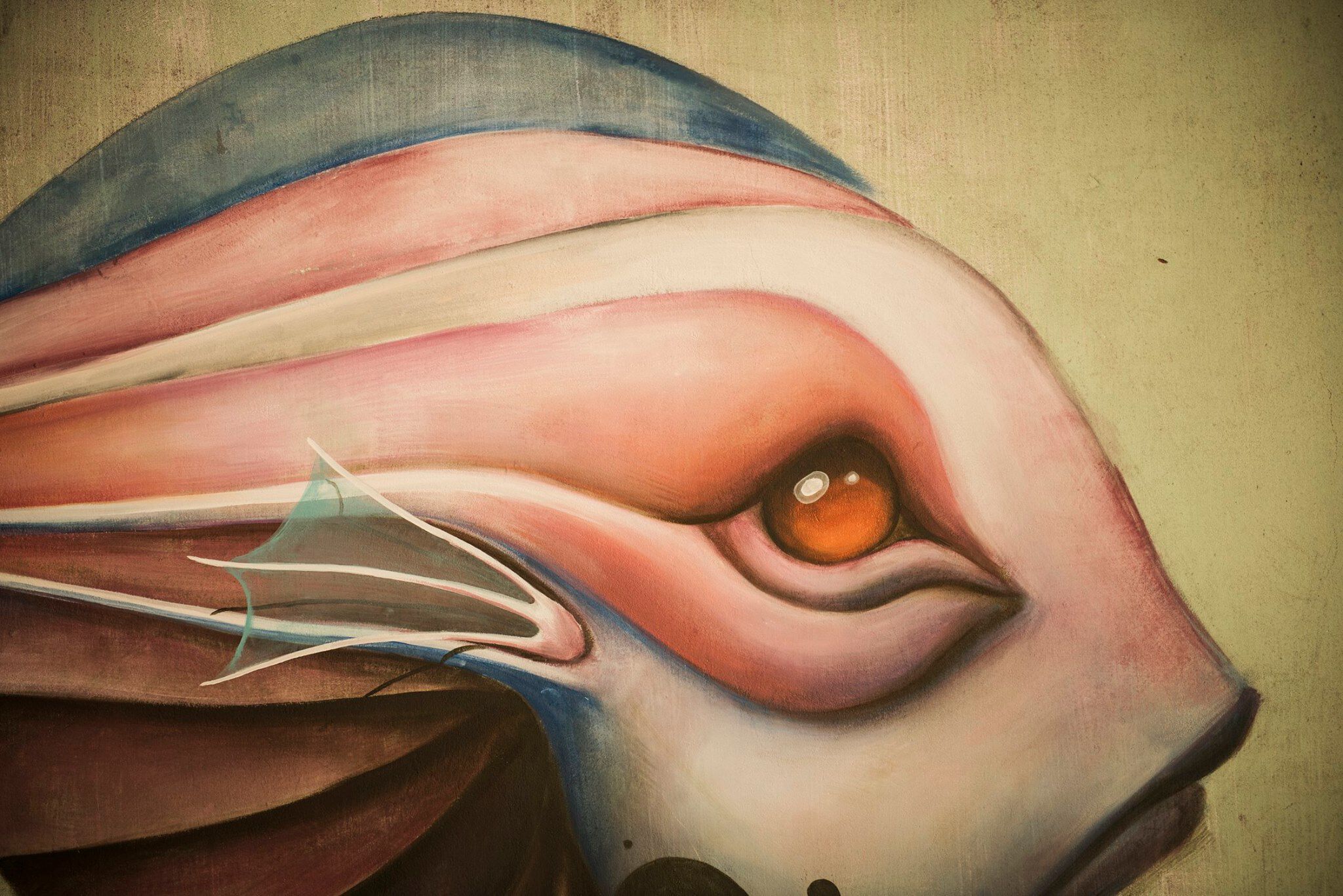 Ana María&mdash;"Fish"