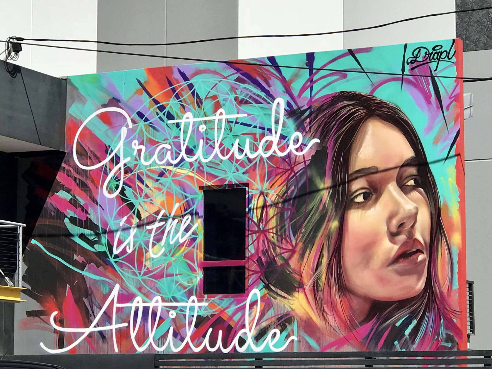 Drapl&mdash;Gratitude is the Attitude