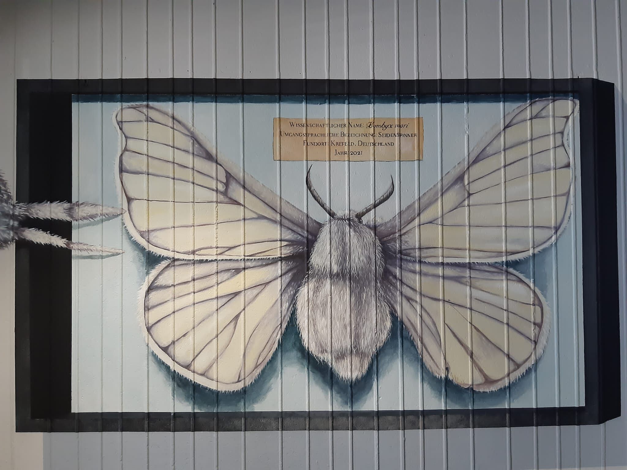 Melina Berg, Julie Kirk Purcell&mdash;The Silk Moth