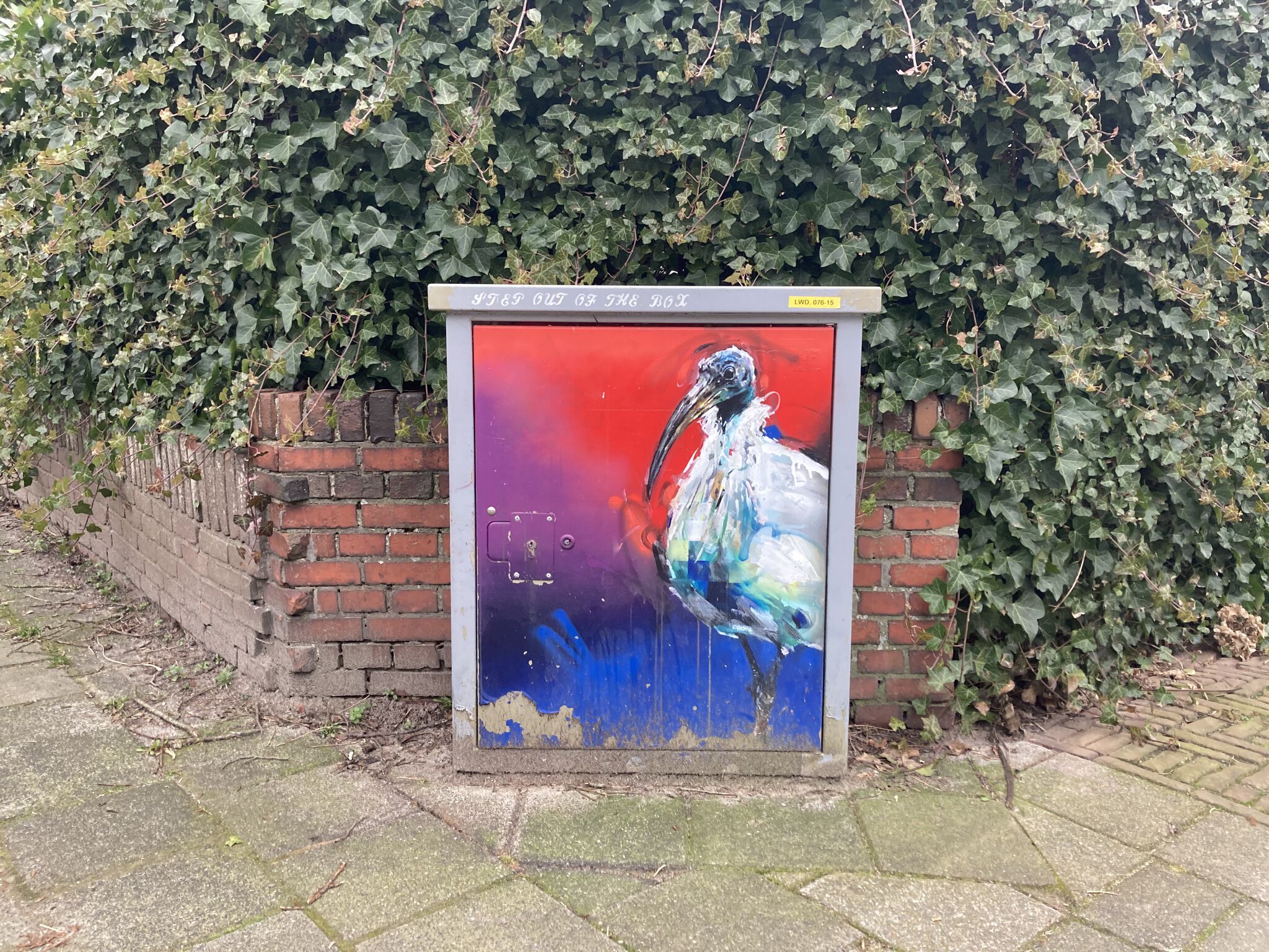Klaas Lageweg&mdash;Ibis