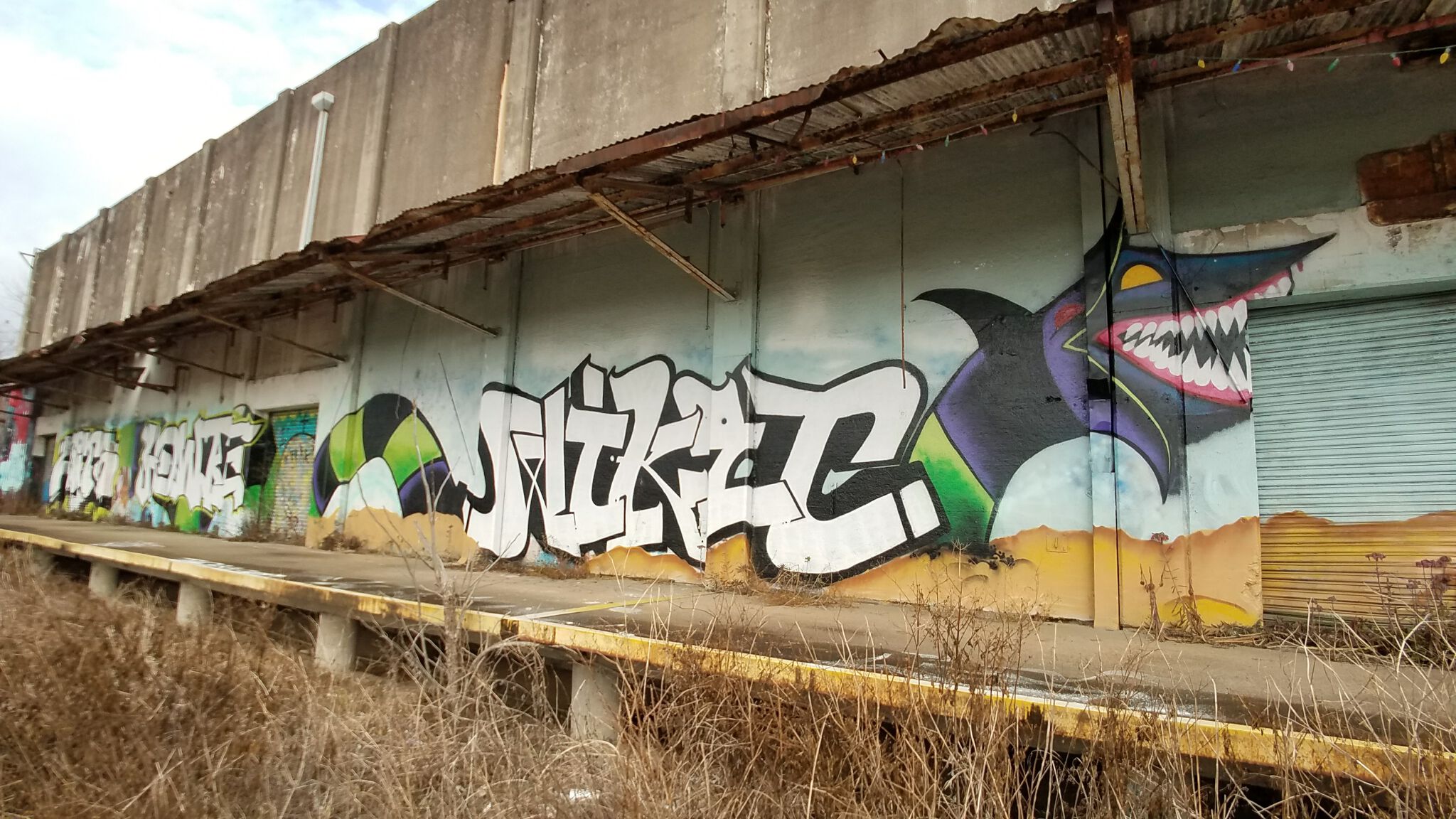 Various Artists&mdash;The Silo