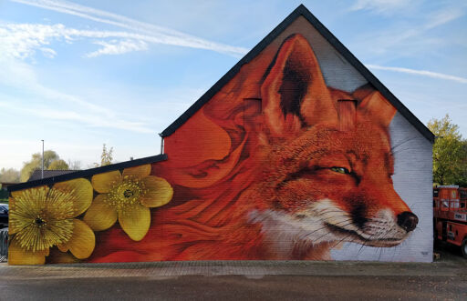 Kingcup Fox