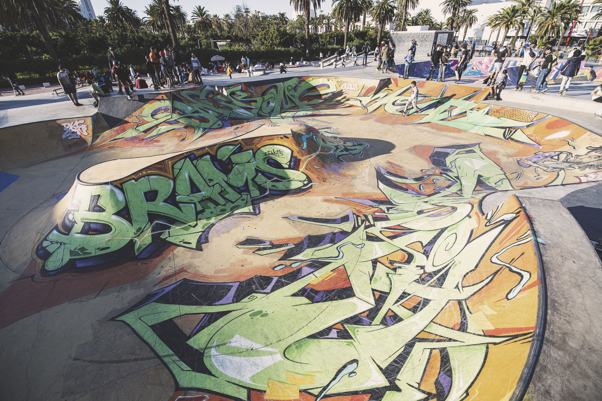 &mdash;skat-parc